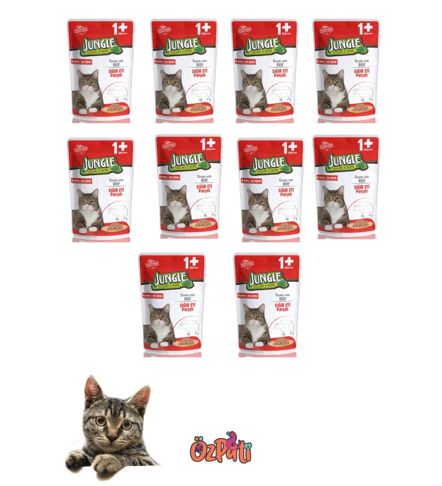 Jungle Street Animals Wet Food 100 Gr X 10 Pk Steak