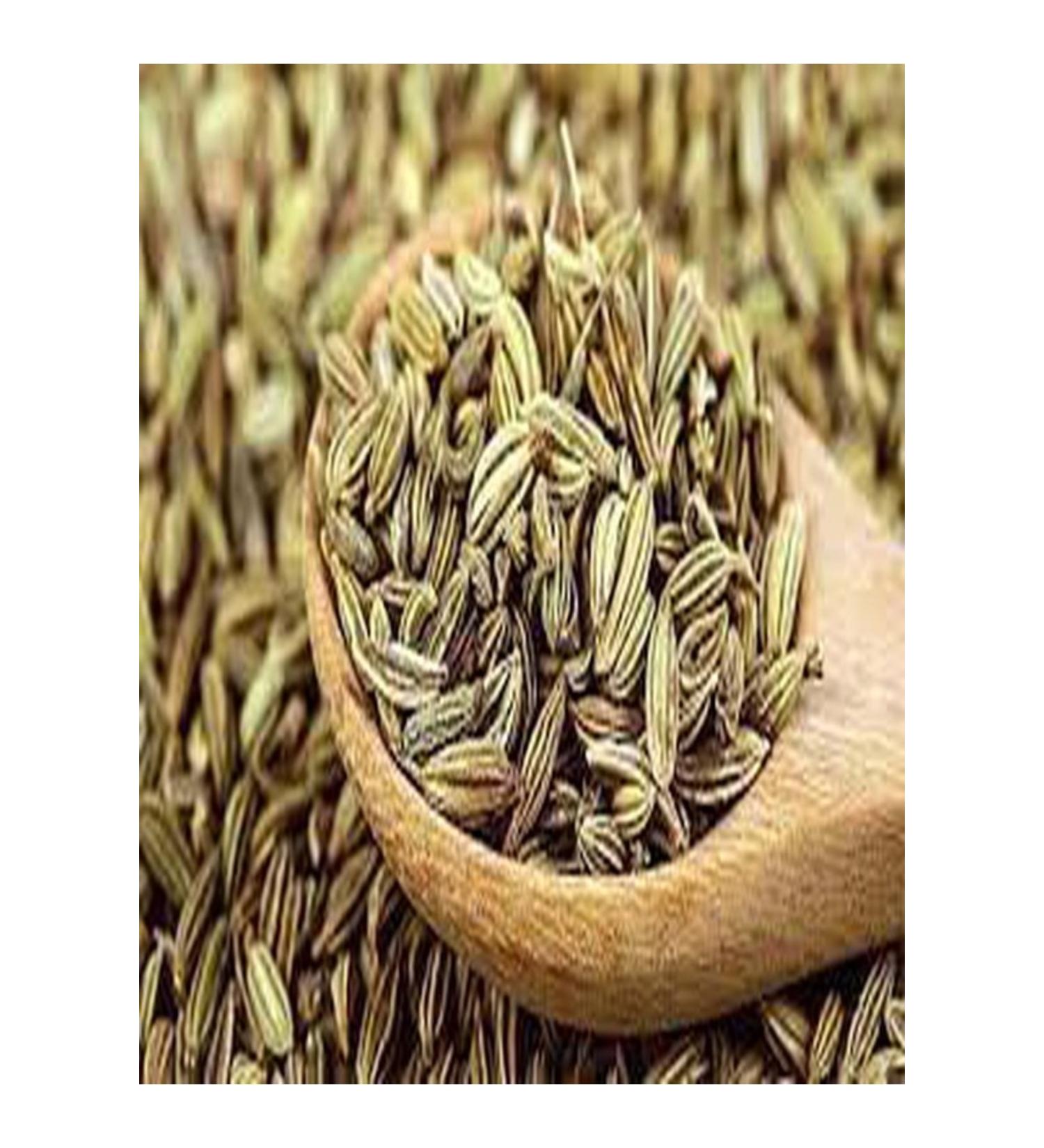 Nature Fennel 500 Gr New Crop