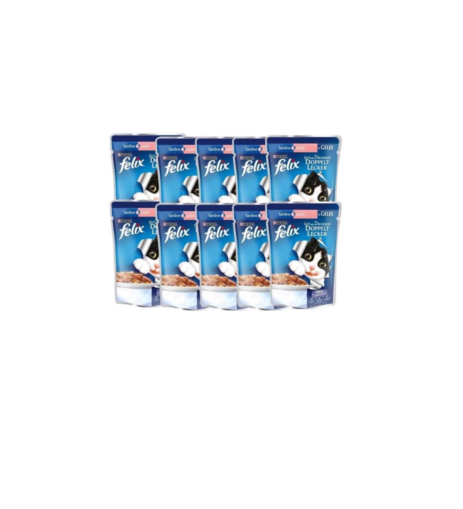 FEL X Fel x Pouch with Salmon 100grx10