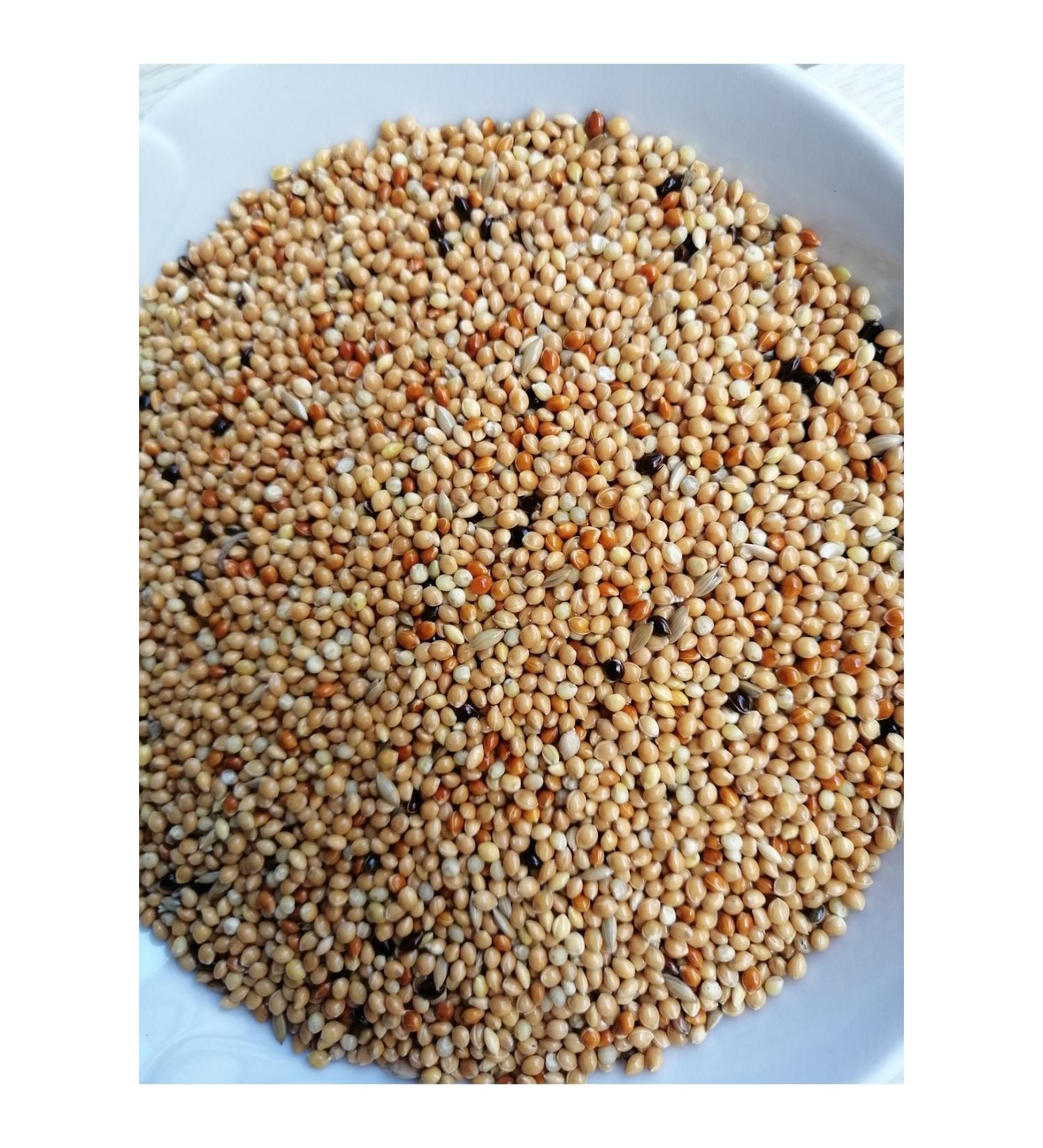 Blue Pet Shop Budgie Food Open 5 Kg