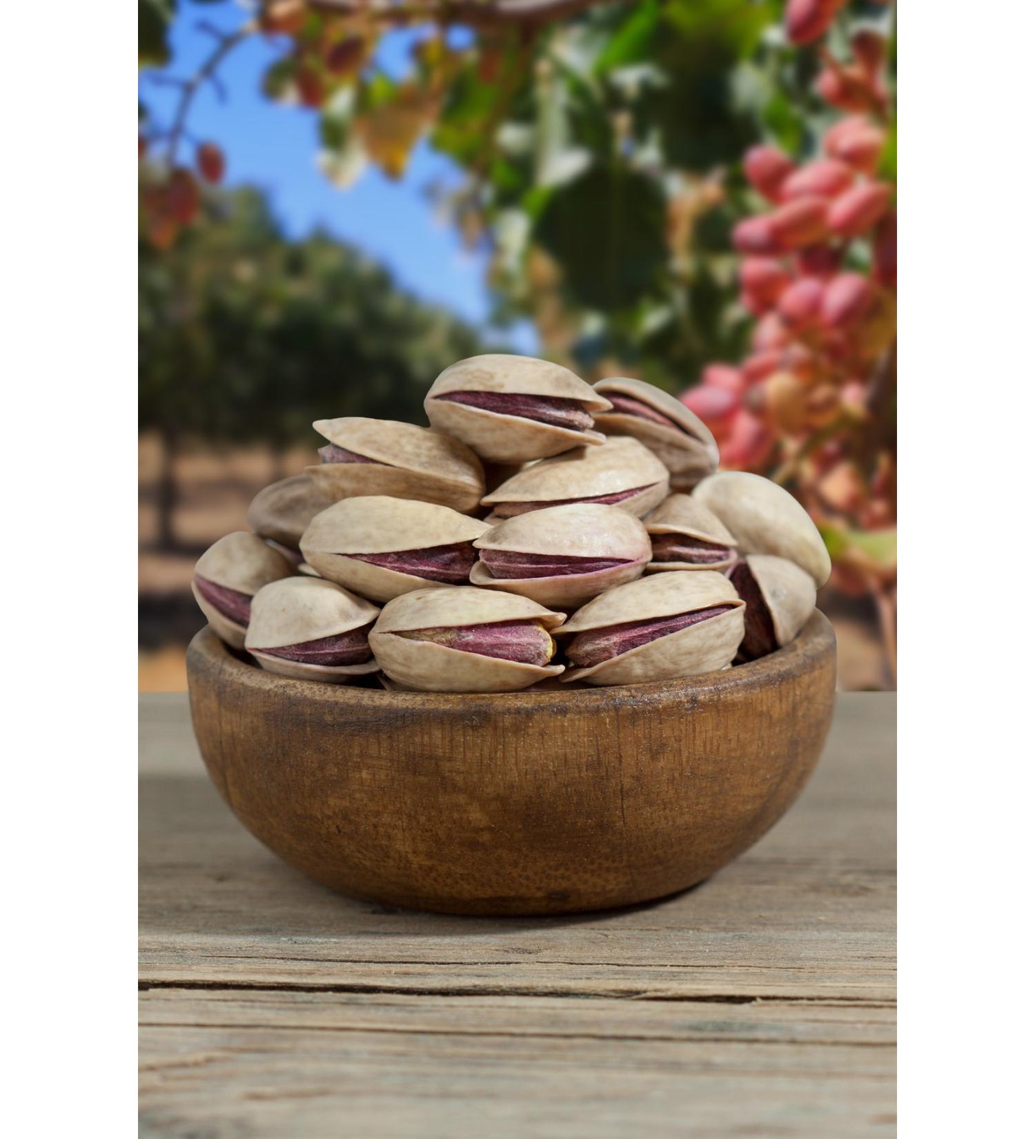 Haci Mumtaz 1958 Pistachio 500g