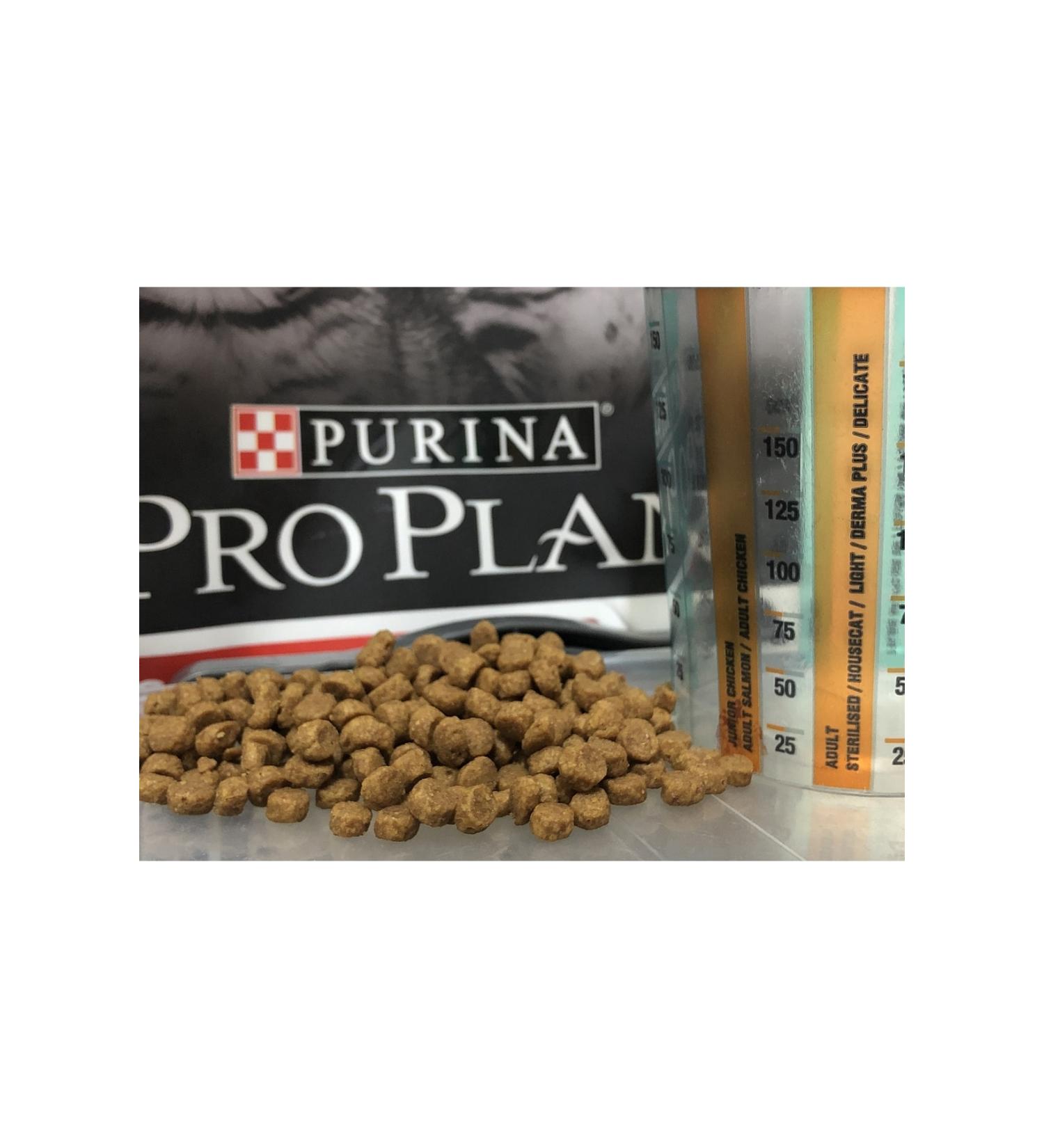 Purina Proplan Kitten Food