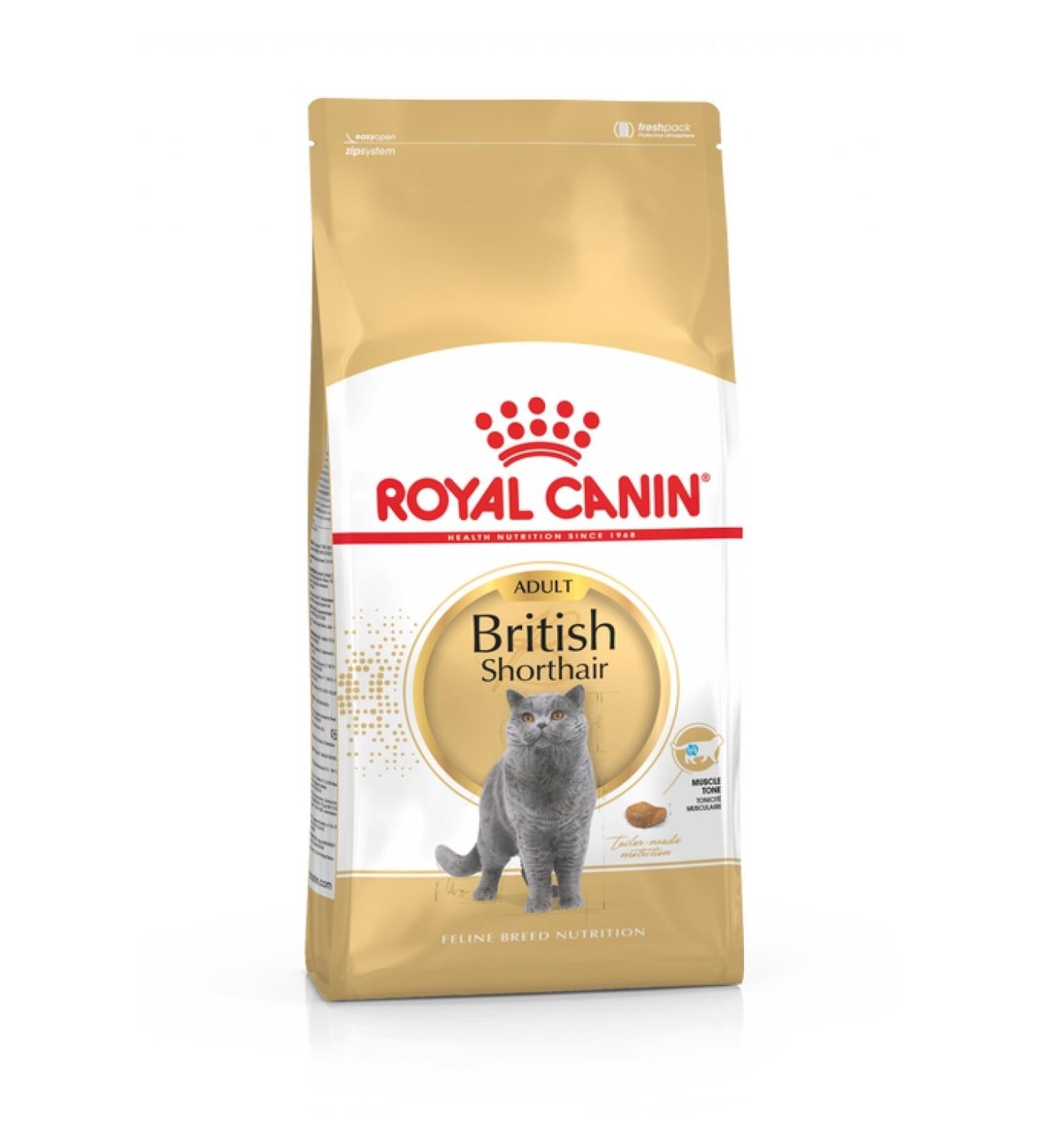 Royal Canin British Shorthair Adult Cat Food 10 Kg - Buy Online on GoSupps.com