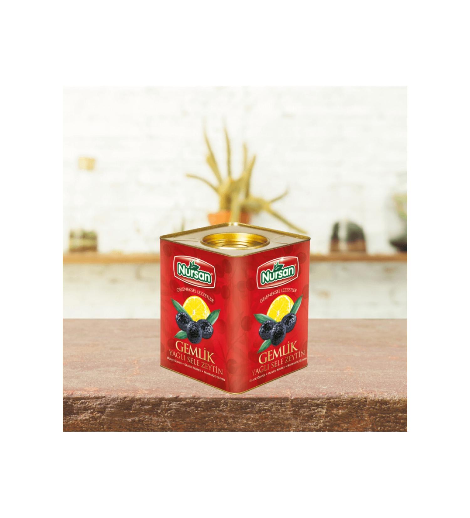 Nursan Food Extra Olive 4 kg