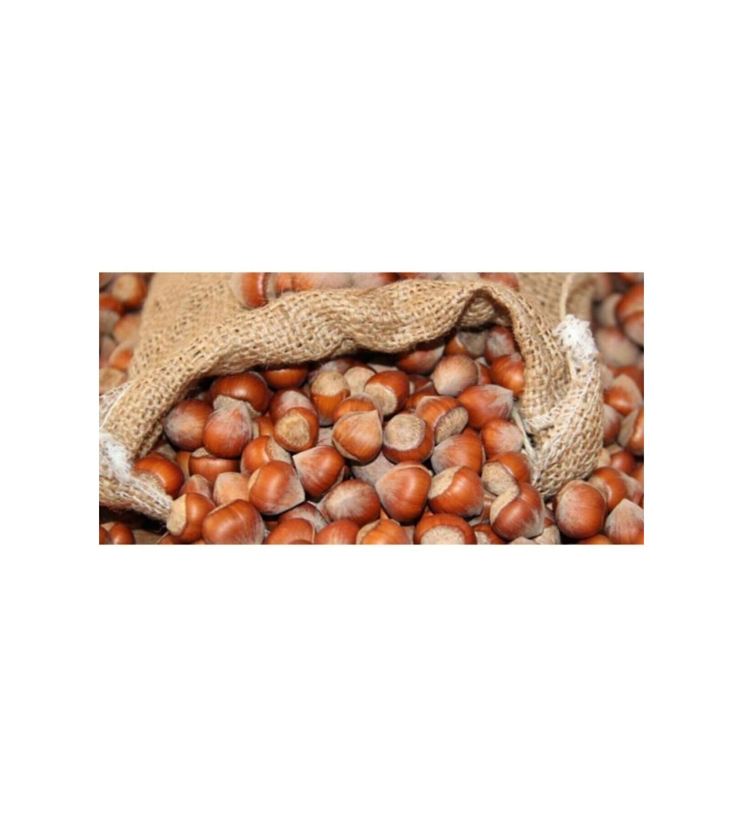 biaktar Organic Ordu Giresun 55r Oily Hazelnuts 2 kg