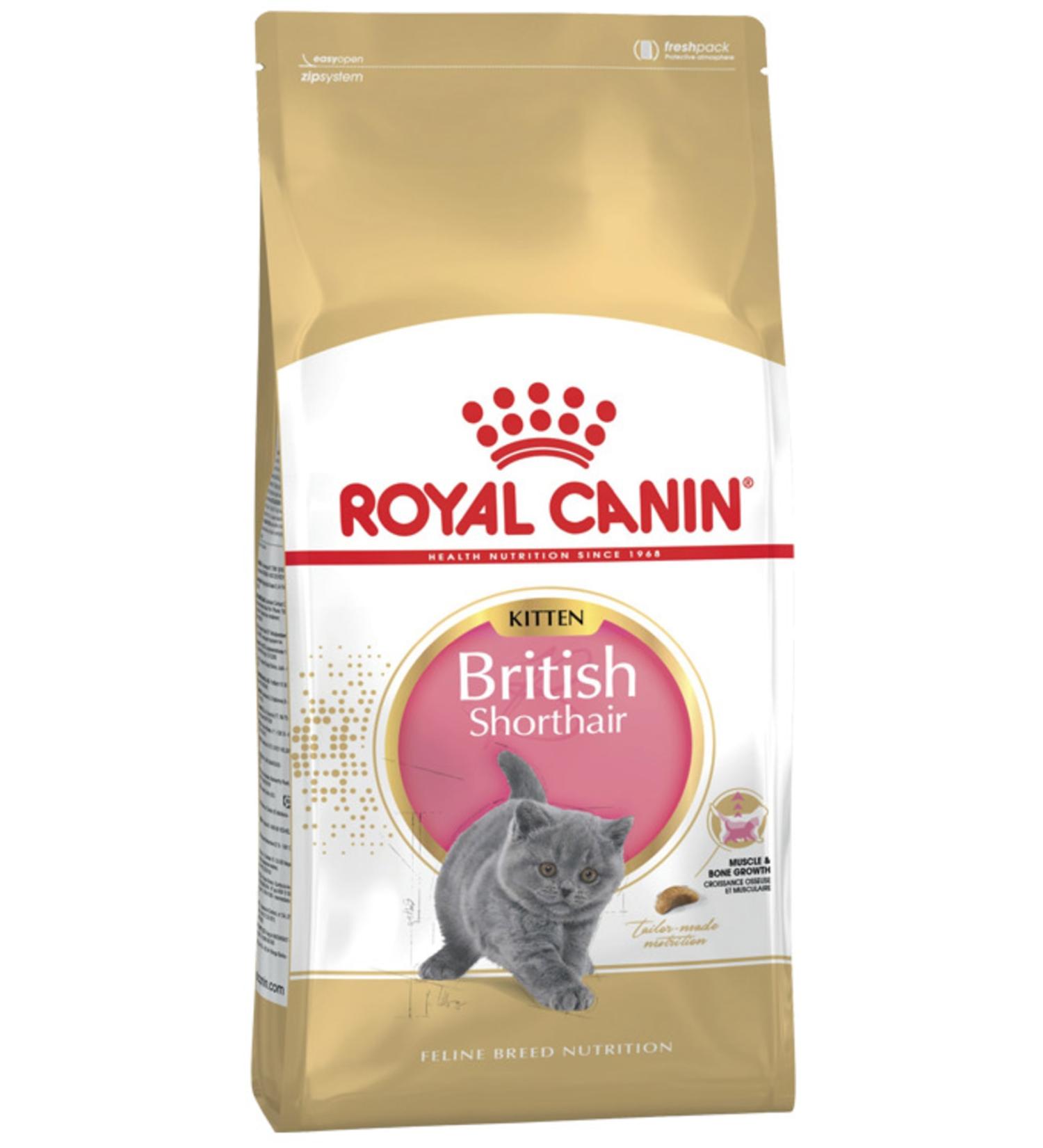 Royal Canin Special Kitten Food for British Shorthair 2 kg