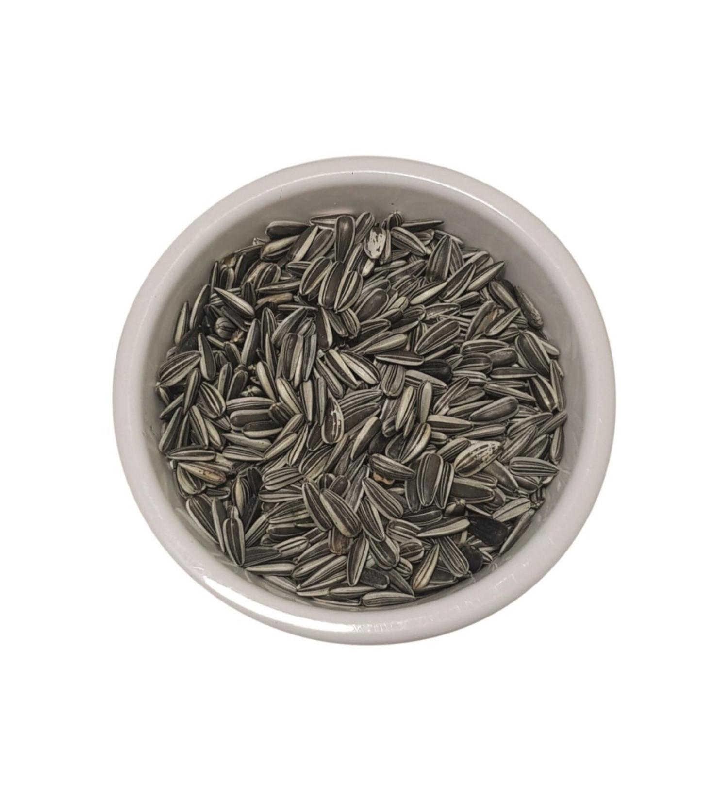 Vivid Striped Pied Seed 2 Kg