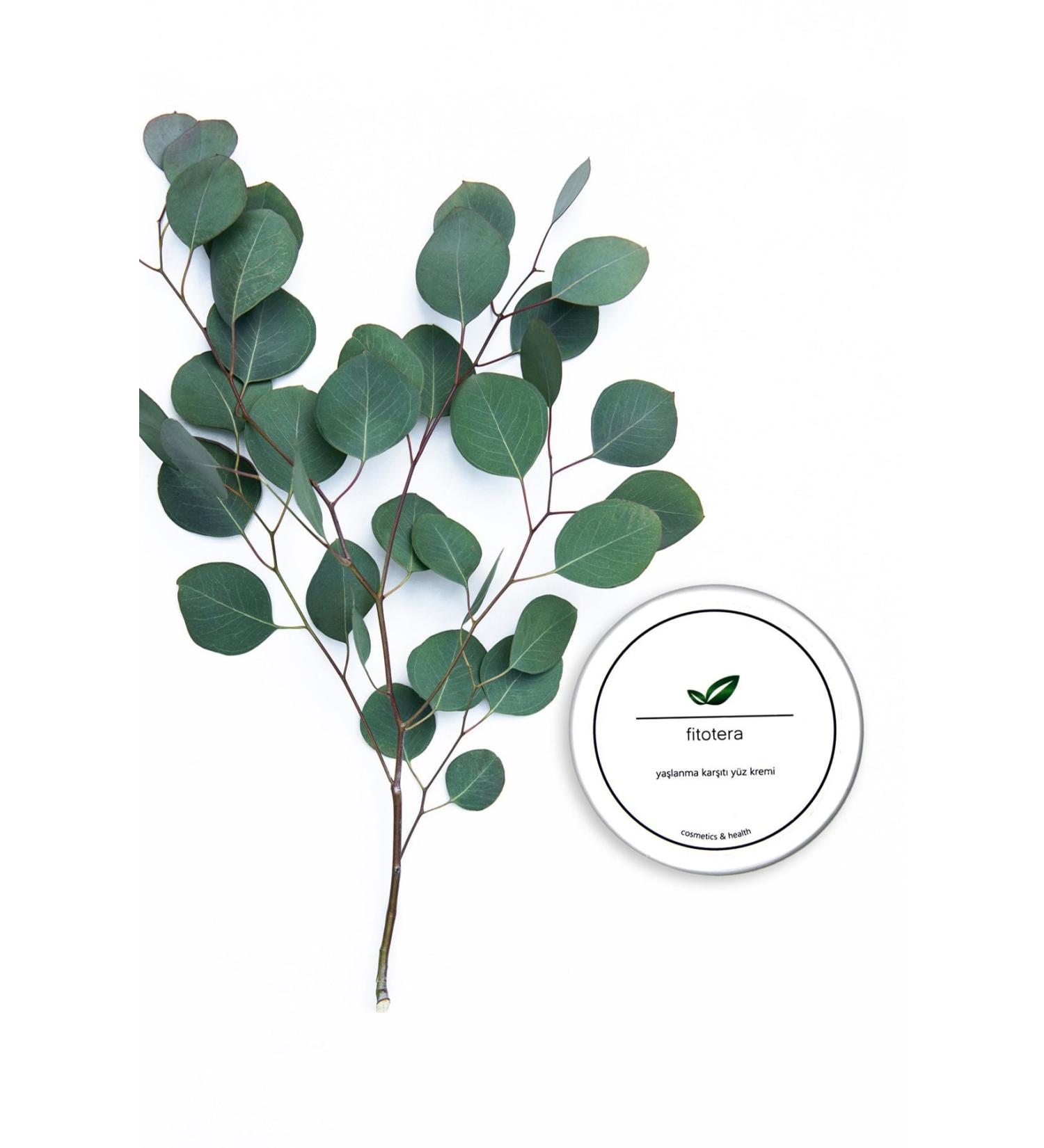 fitotera Anti-Aging Face Cream | Natural And Organic