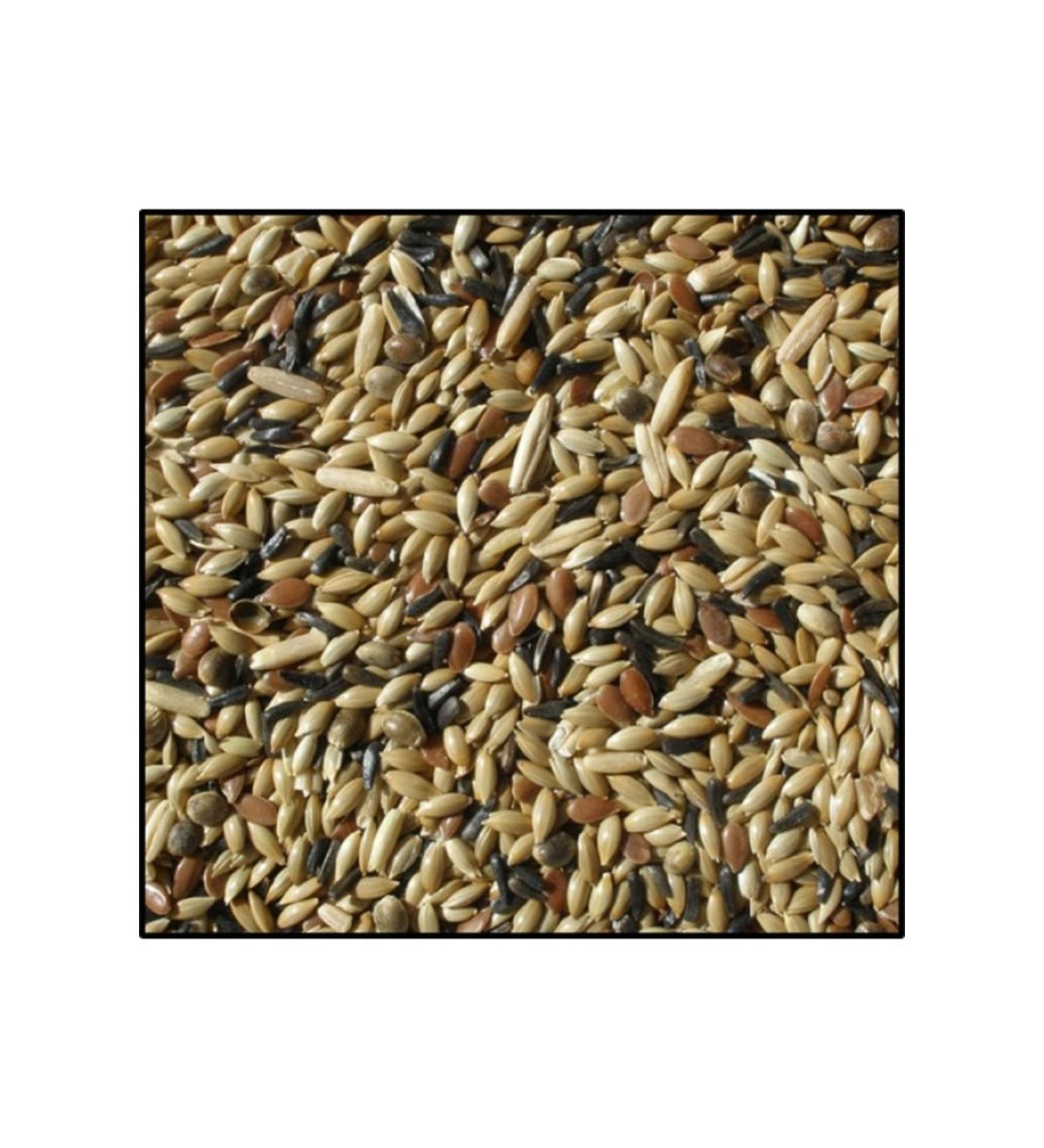 Almond Aquarium Mixed Canary Food 10 Kg Open