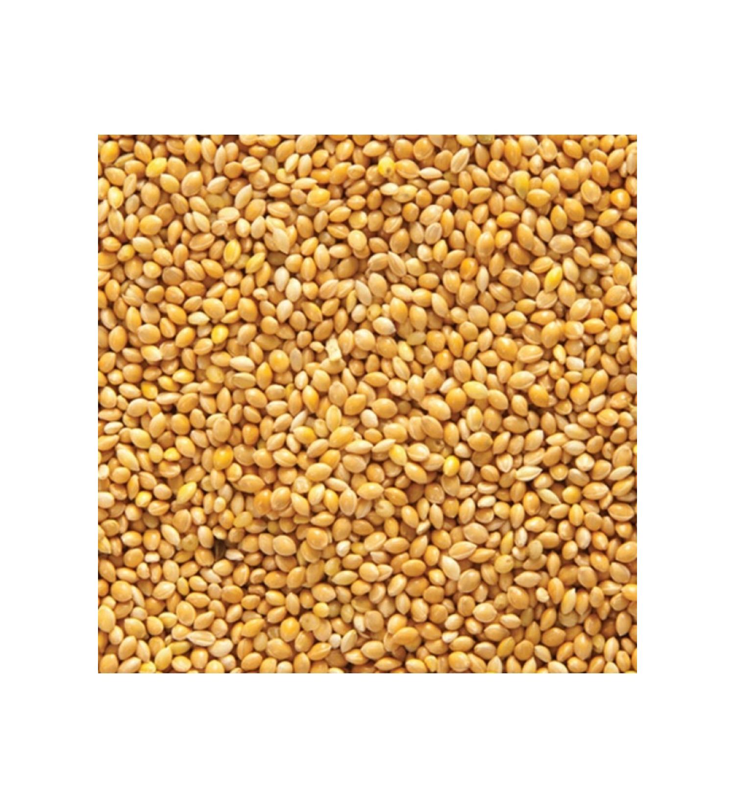 Almond Aquarium Budgie Food Plain 10 Kg Open