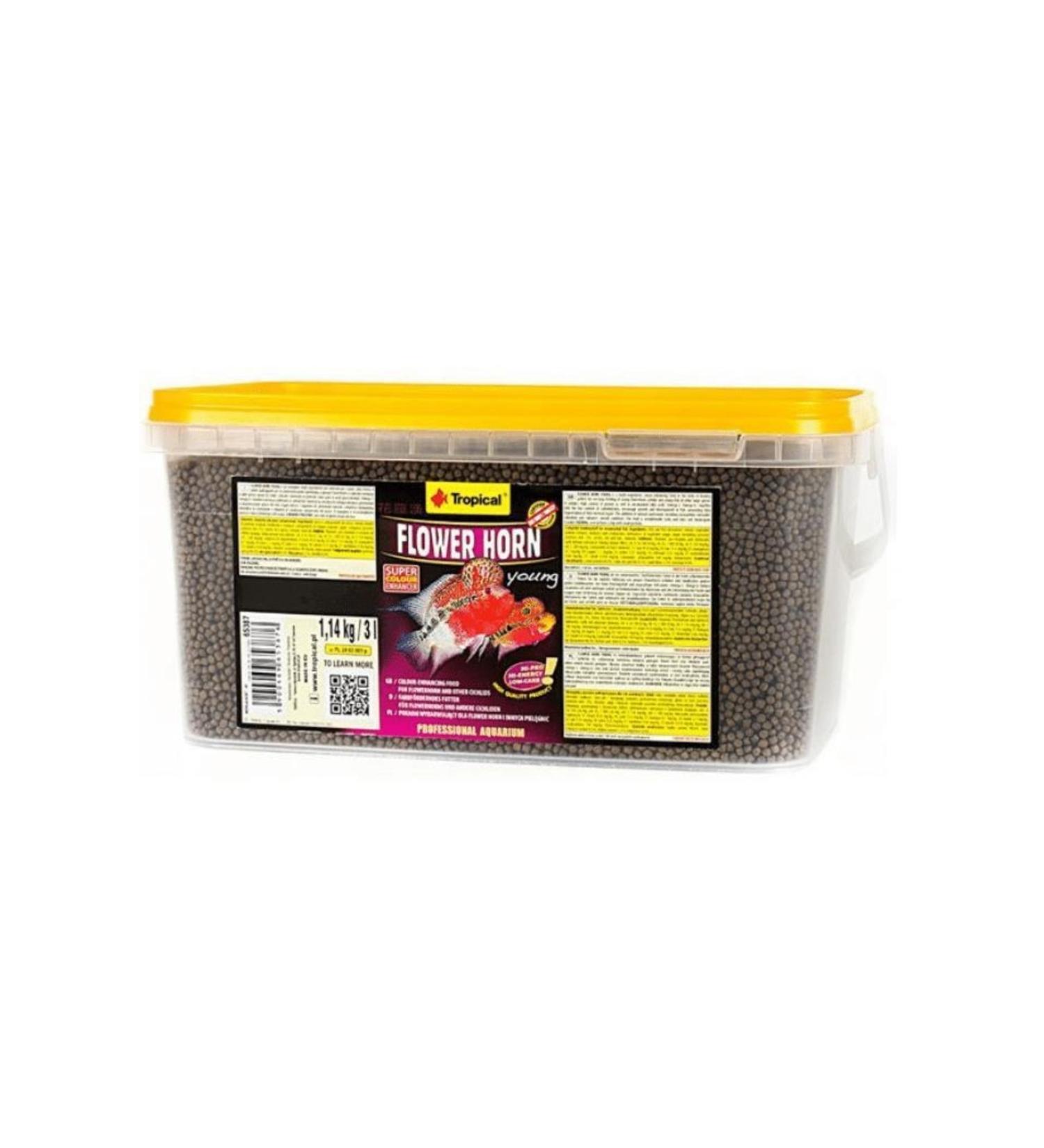 Tropical Flowerhorn Young 100 Gr