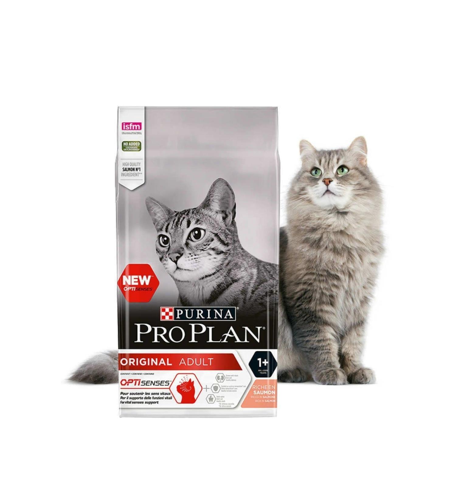 Pro Plan Adult Cat Food with Salmon 10 kg