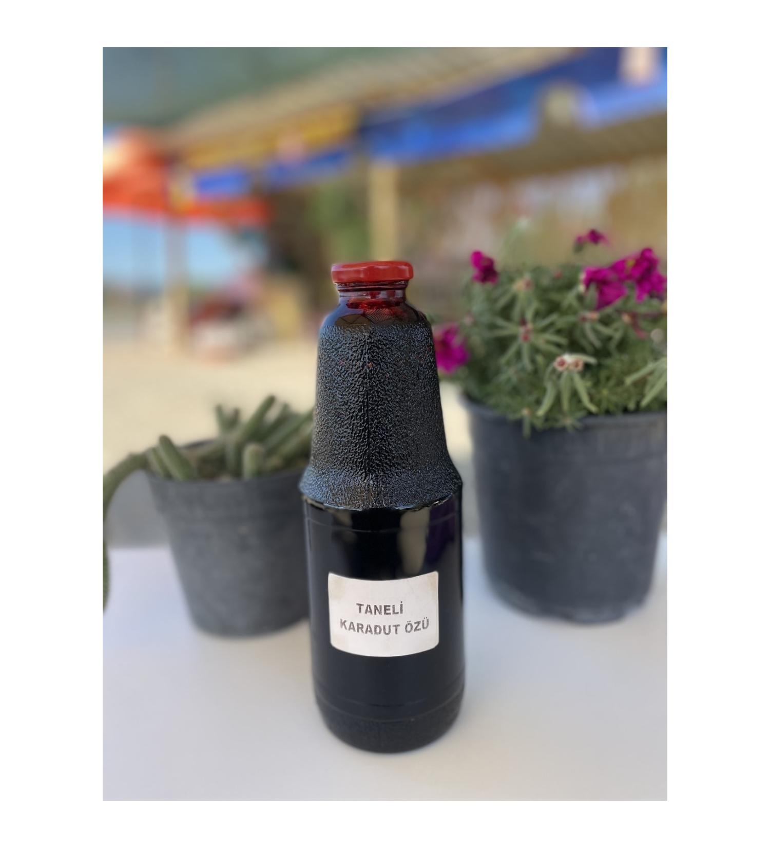 Karada Do al r nler Granular Particle Natural Black Mulberry Extract 1400g