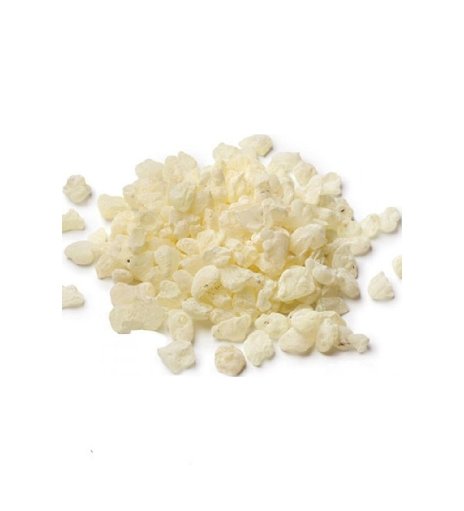 50 Gr Mastic Gum 1. Quality - Bulk Mastic Gum