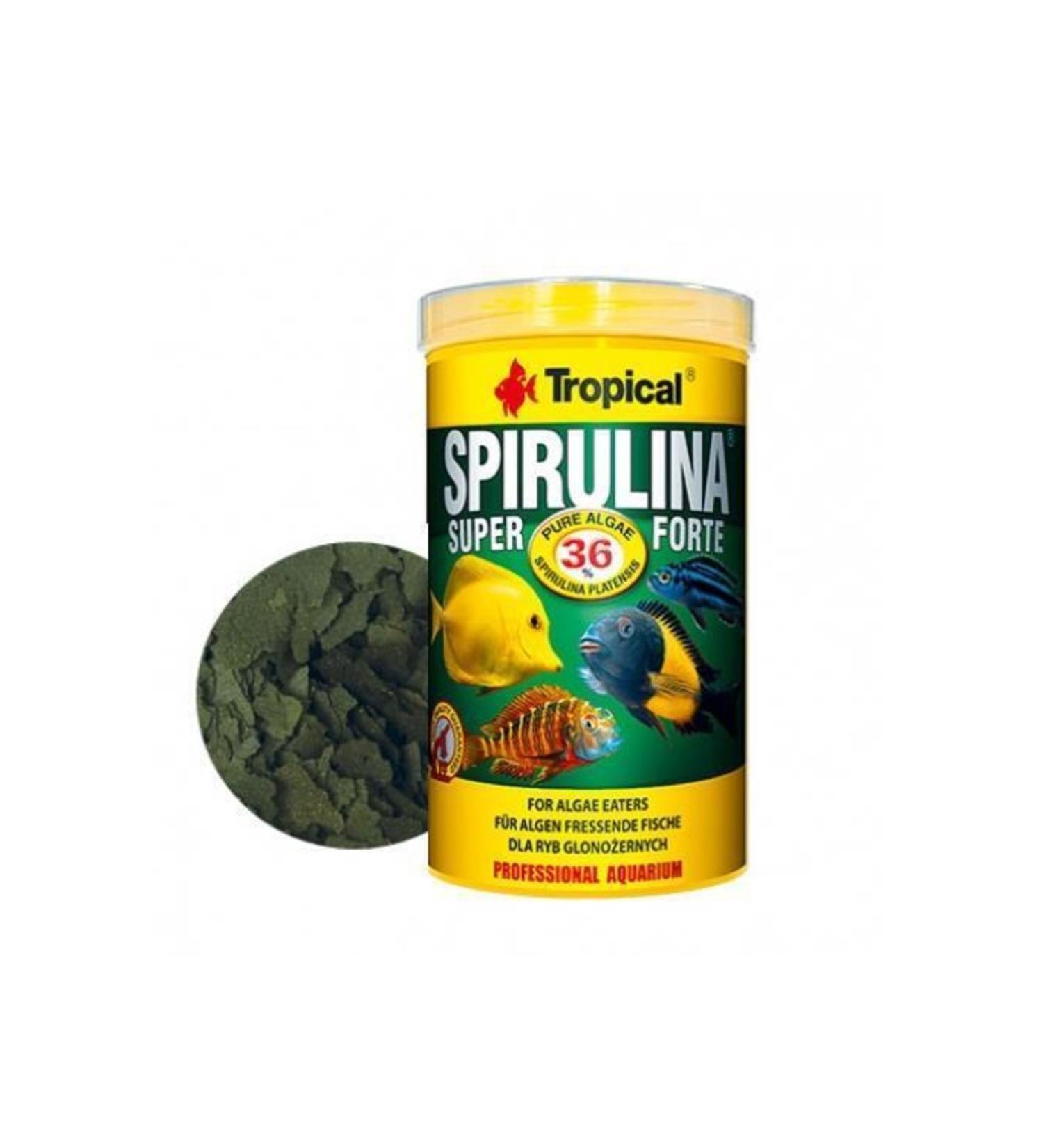 Tropical Super Spirulina Forte Flake 250 Grams