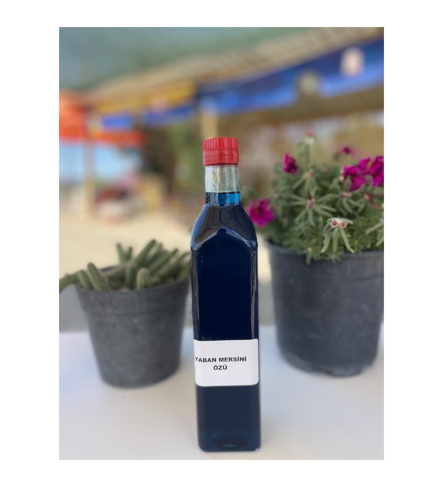 KaradagNaturalProducts Natural Blueberry Extract 700 gr