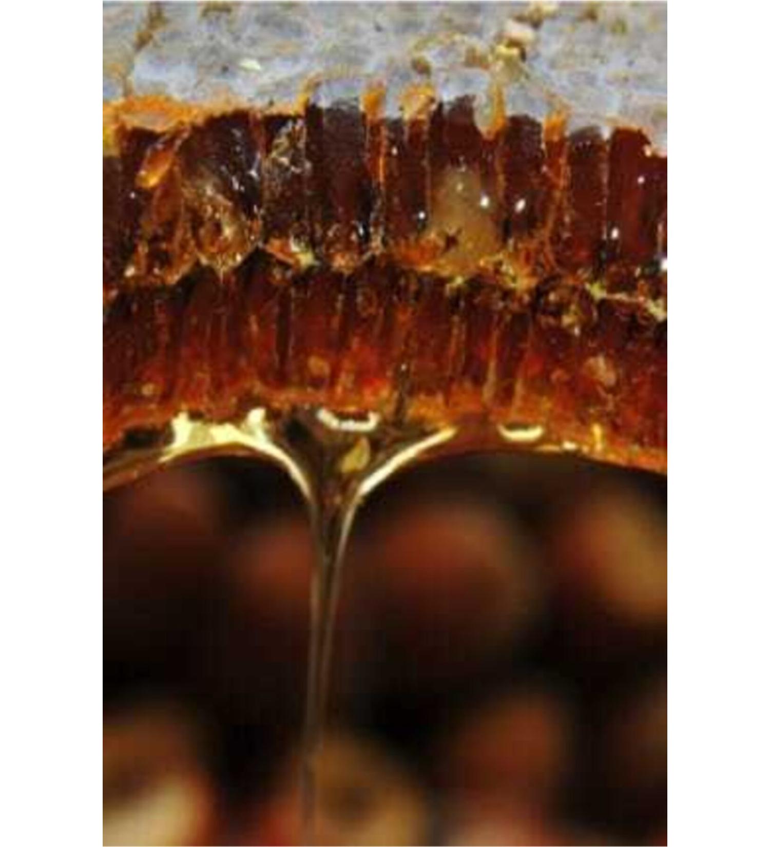 ASL Natural Comb Honey 1250gr