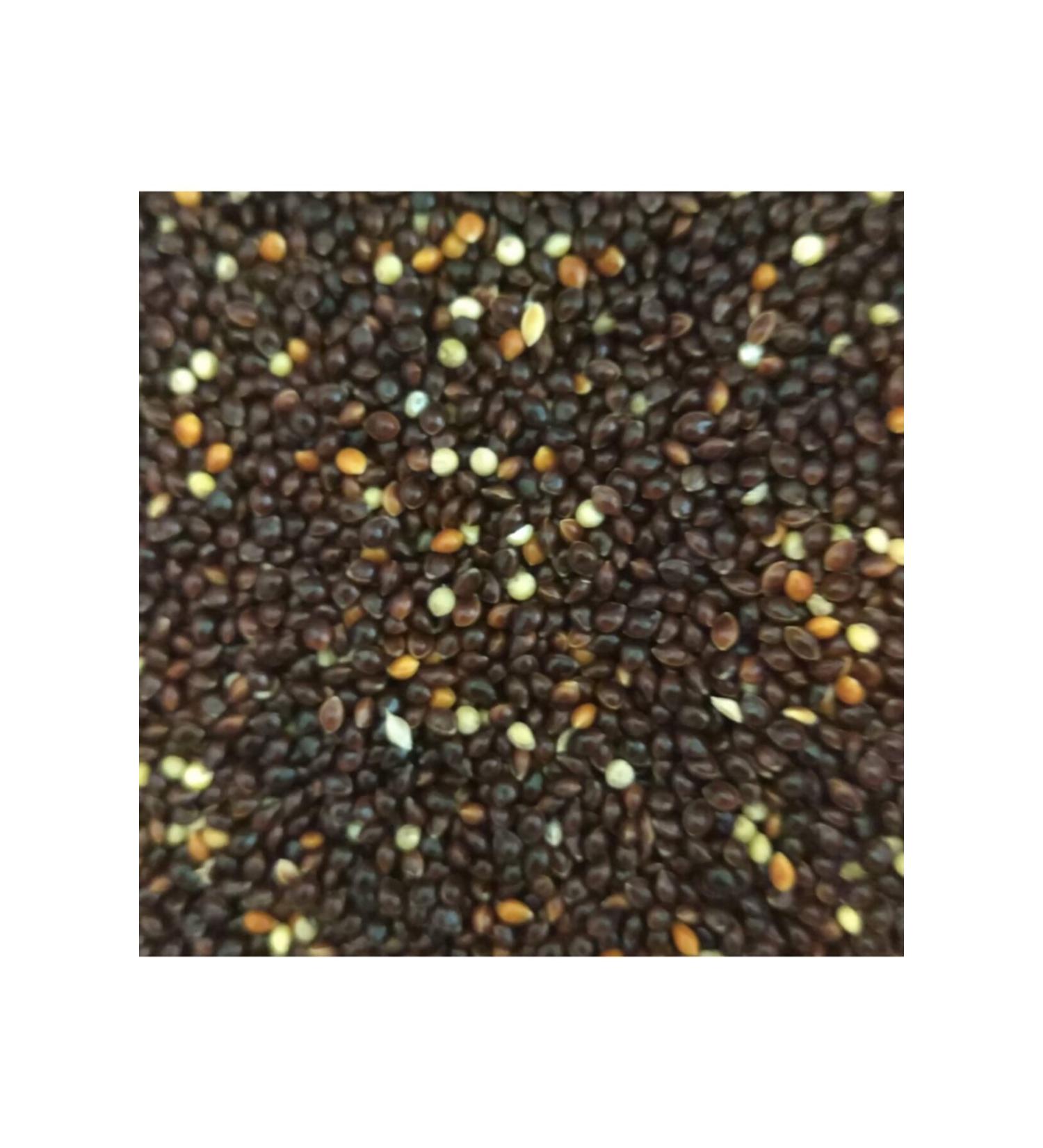 Ingro Black Millet 10000 G