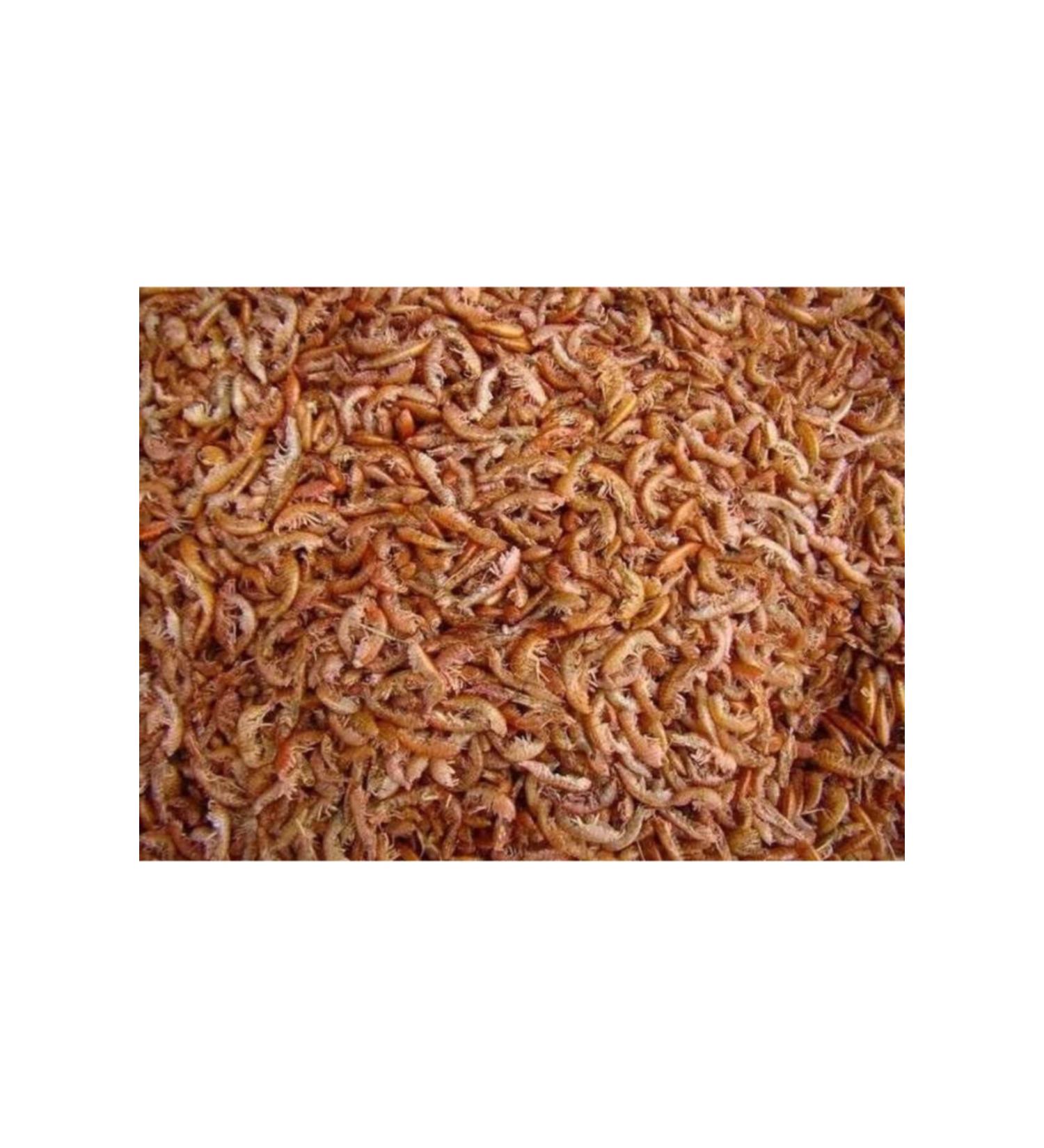 Ahmad Ahm Gammarus 500 gr