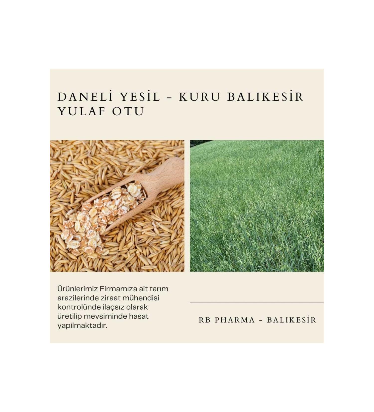 RB PHARMA Granular Green Dry Bal kesir Oatmeal Rodent Grass 2kg Our Own Production