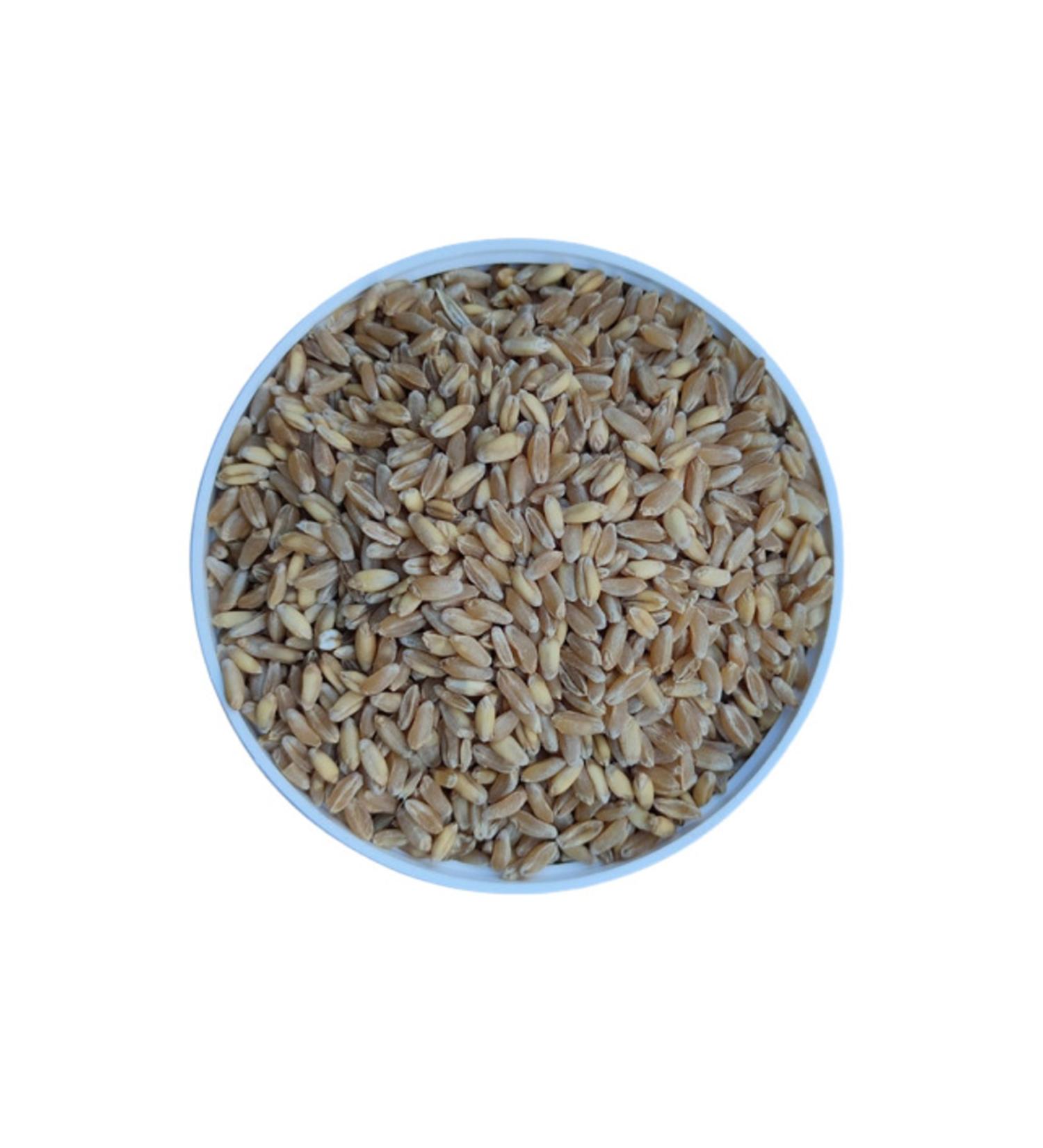 MALATYAYEM Sifted Wheat-chicken-pigeon-rooster Feed-10kg