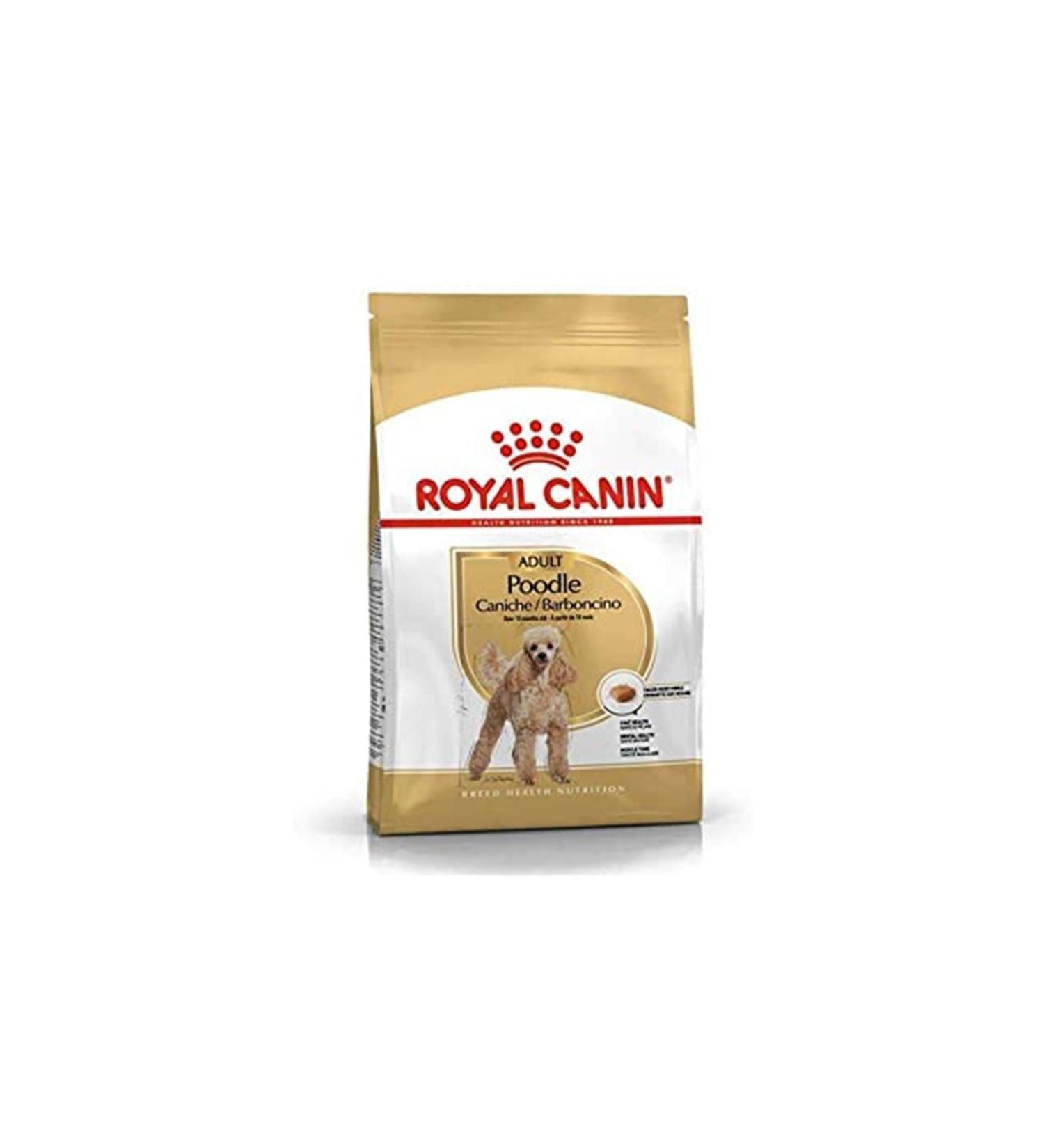 Royal Canin Mstz Royal Canin Poodle Adult Dog Food 3 Kg Zncm