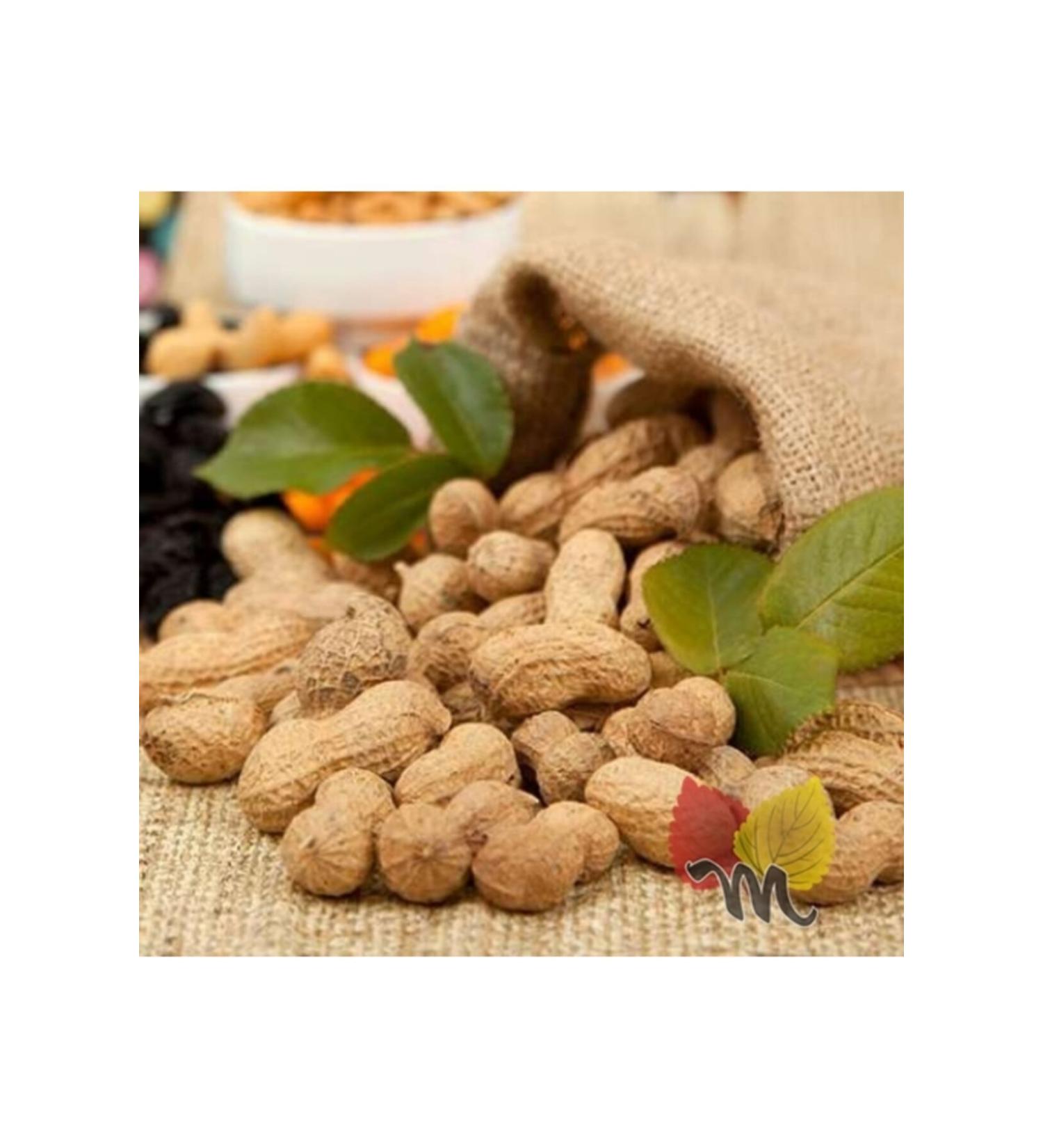 Magnificent Plants Peanuts in Shell 1 Kg