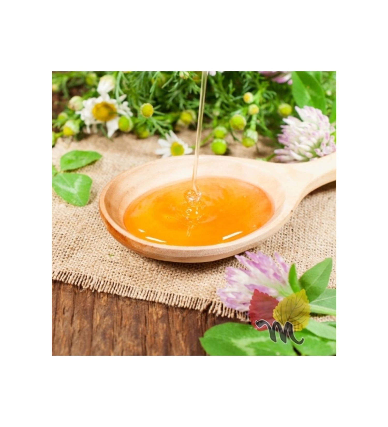 Magnificent Plants Pure Honey 1 Kg