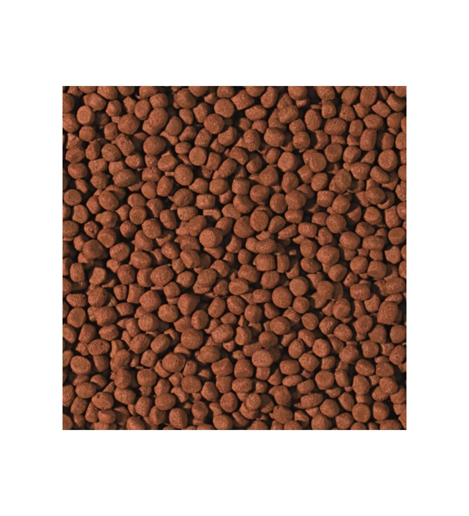 Tropical 250 Gram Cichlid Carnivore Medium Pellet Large Granule Fish Food