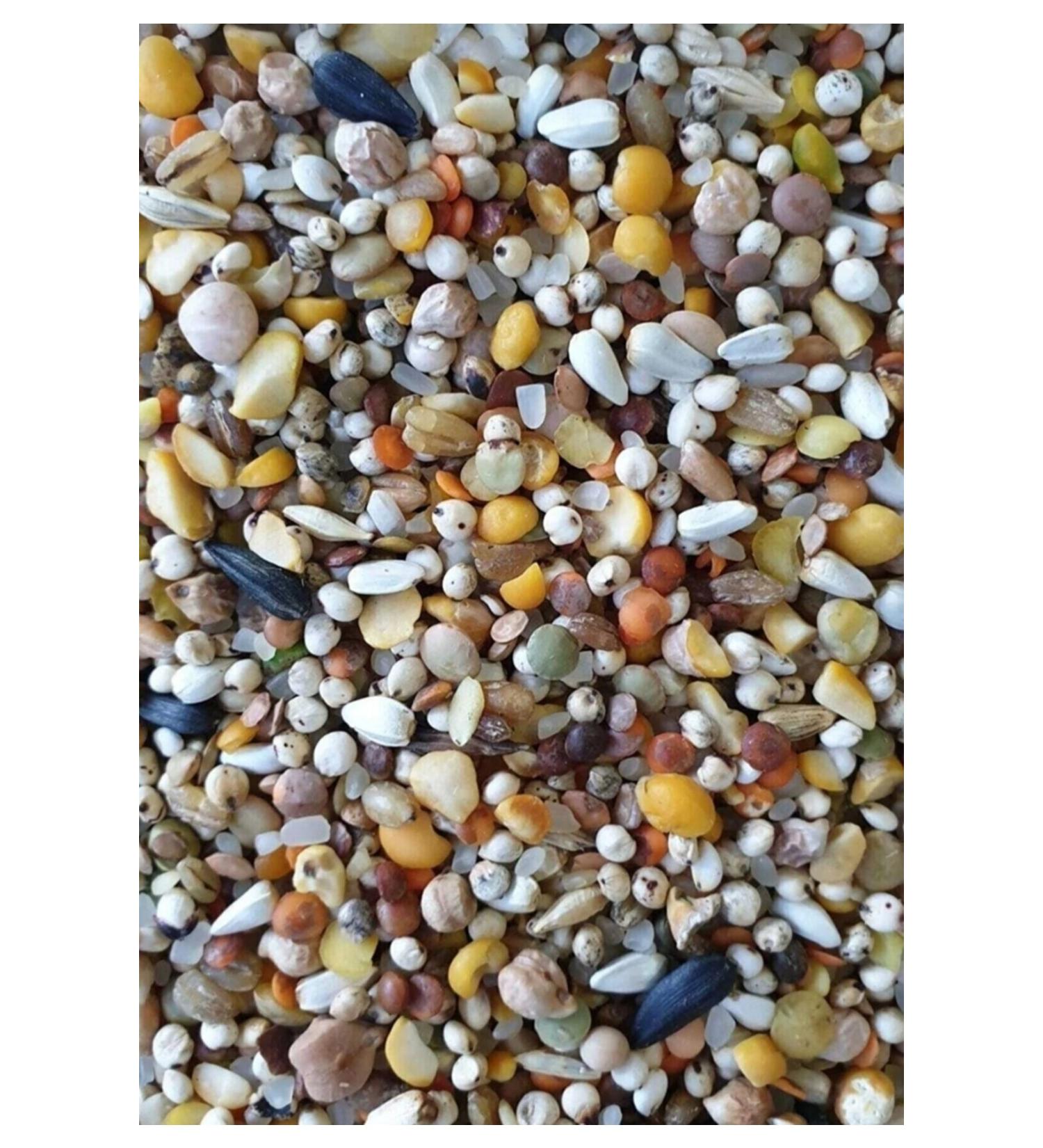 Special Mixed Pigeon Food 10 Kg