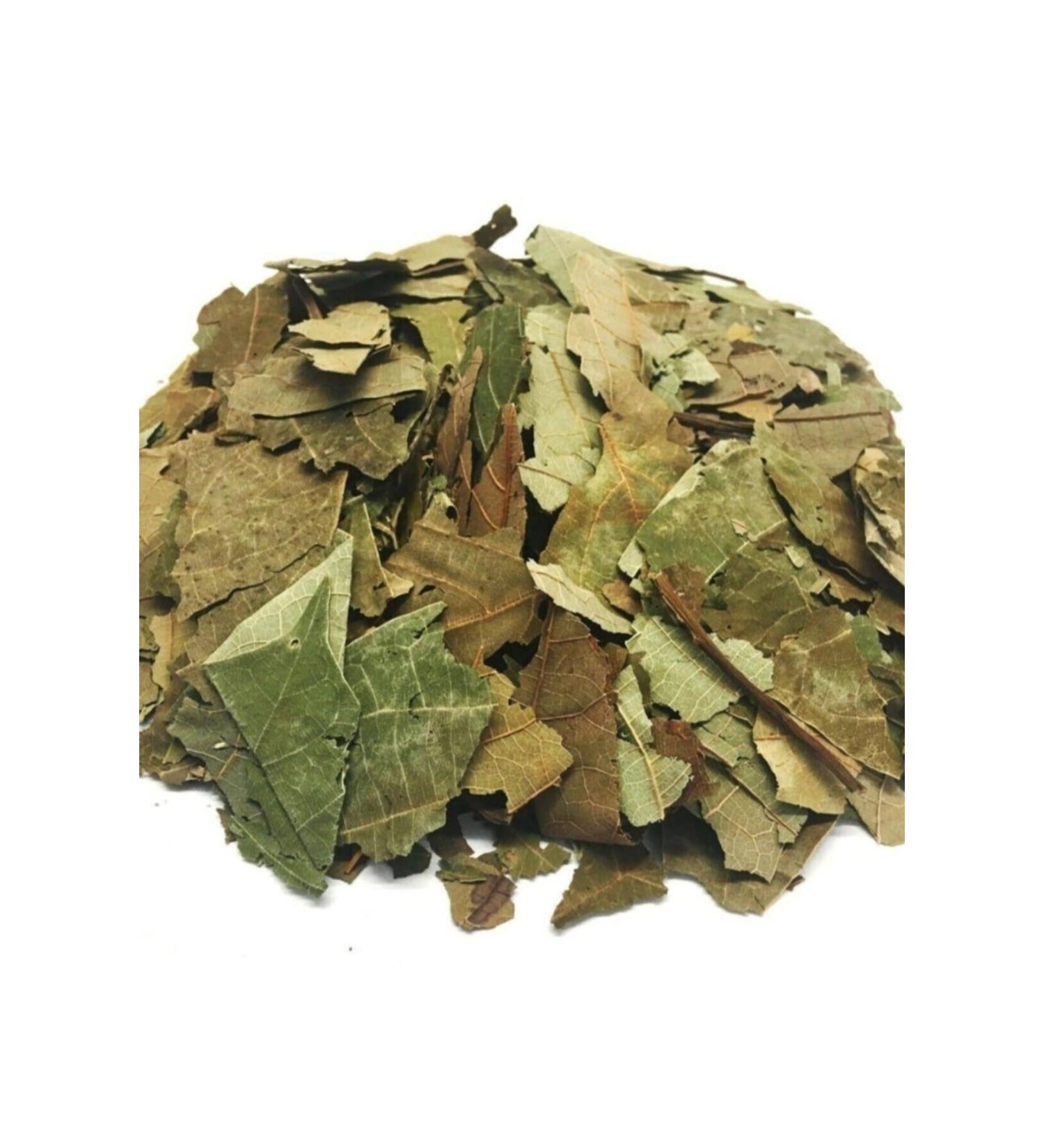 Alanbabilir Dried Avocado Leaves 450 gr