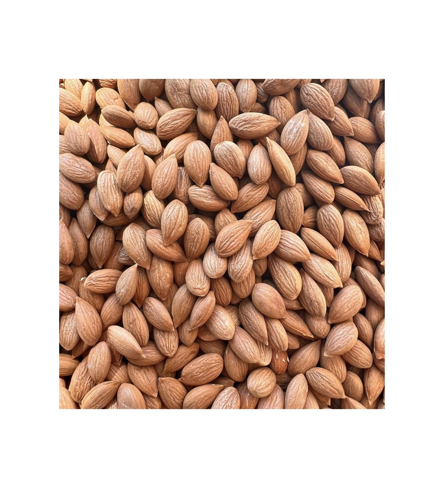 ABB Sun Dried Apricot Kernels 500 Gr