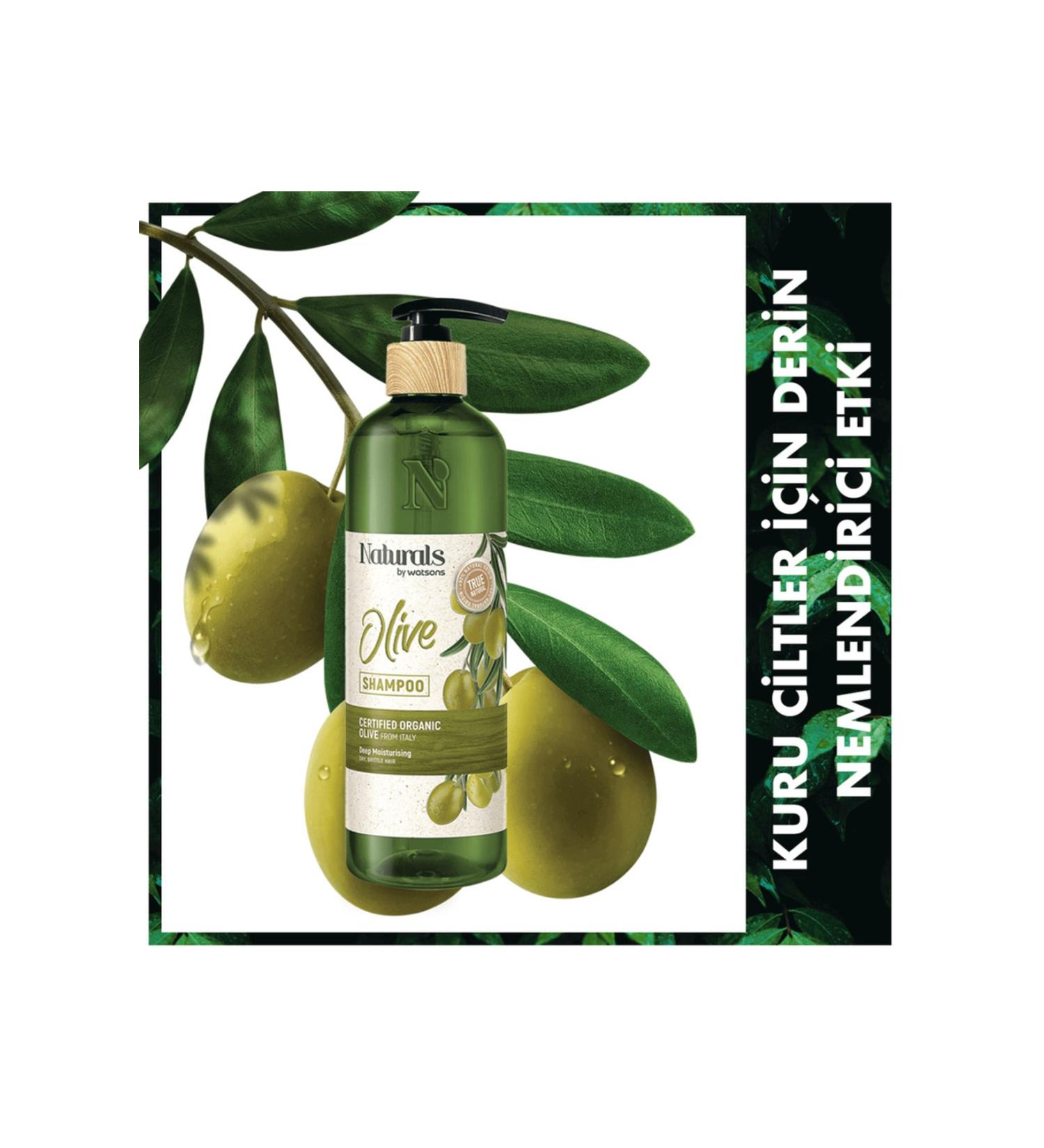 Naturals By Watsons Shampoo Olive 490 Ml