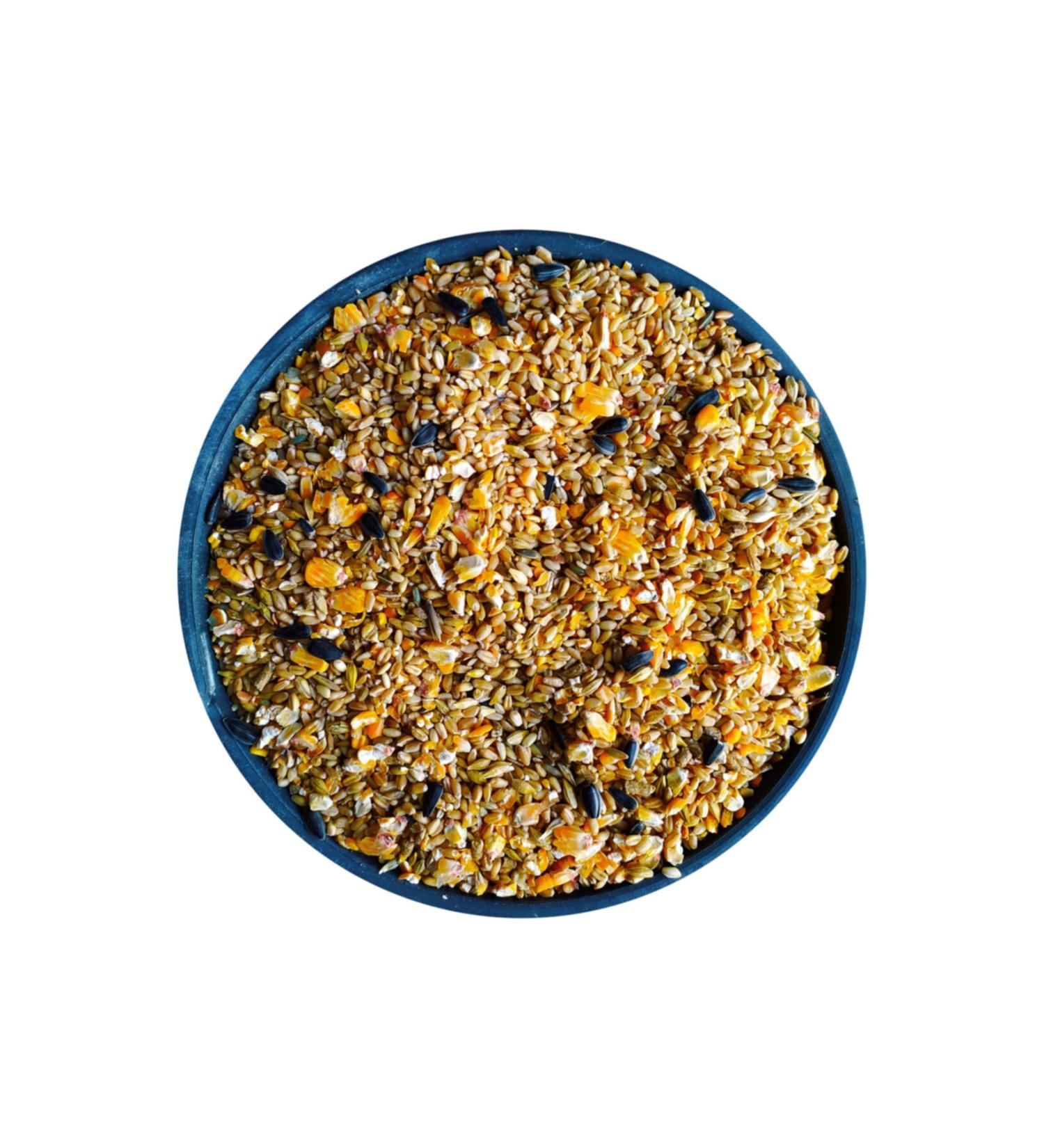 Bizim Yem Mixed Chicken Feed Atom - 10 Kg (For Chicken Duck Goose and All Poultry)