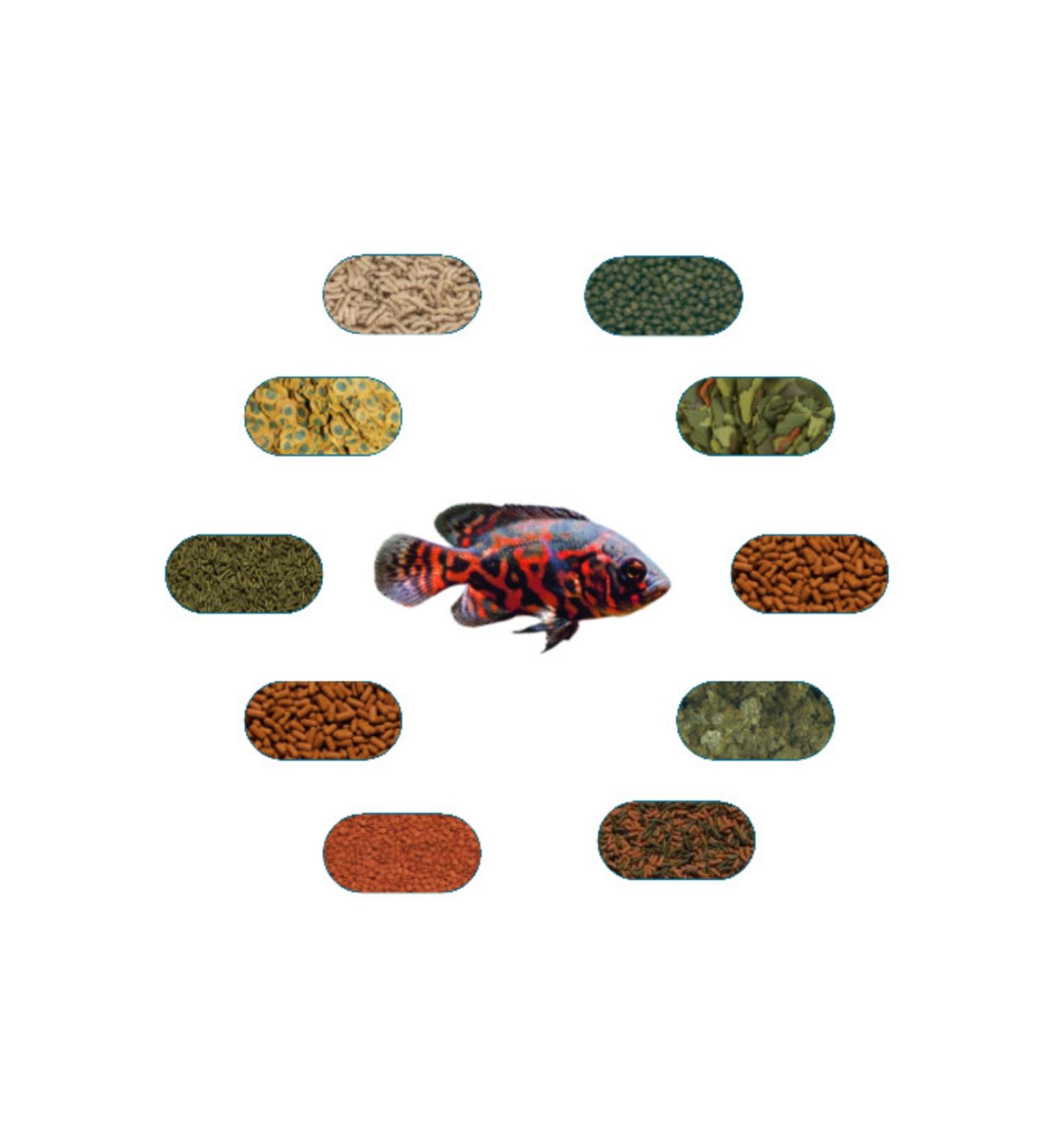 Feeder Astronaut (OSCAR) Special Feed Package 6 Types (100) Gr/piece