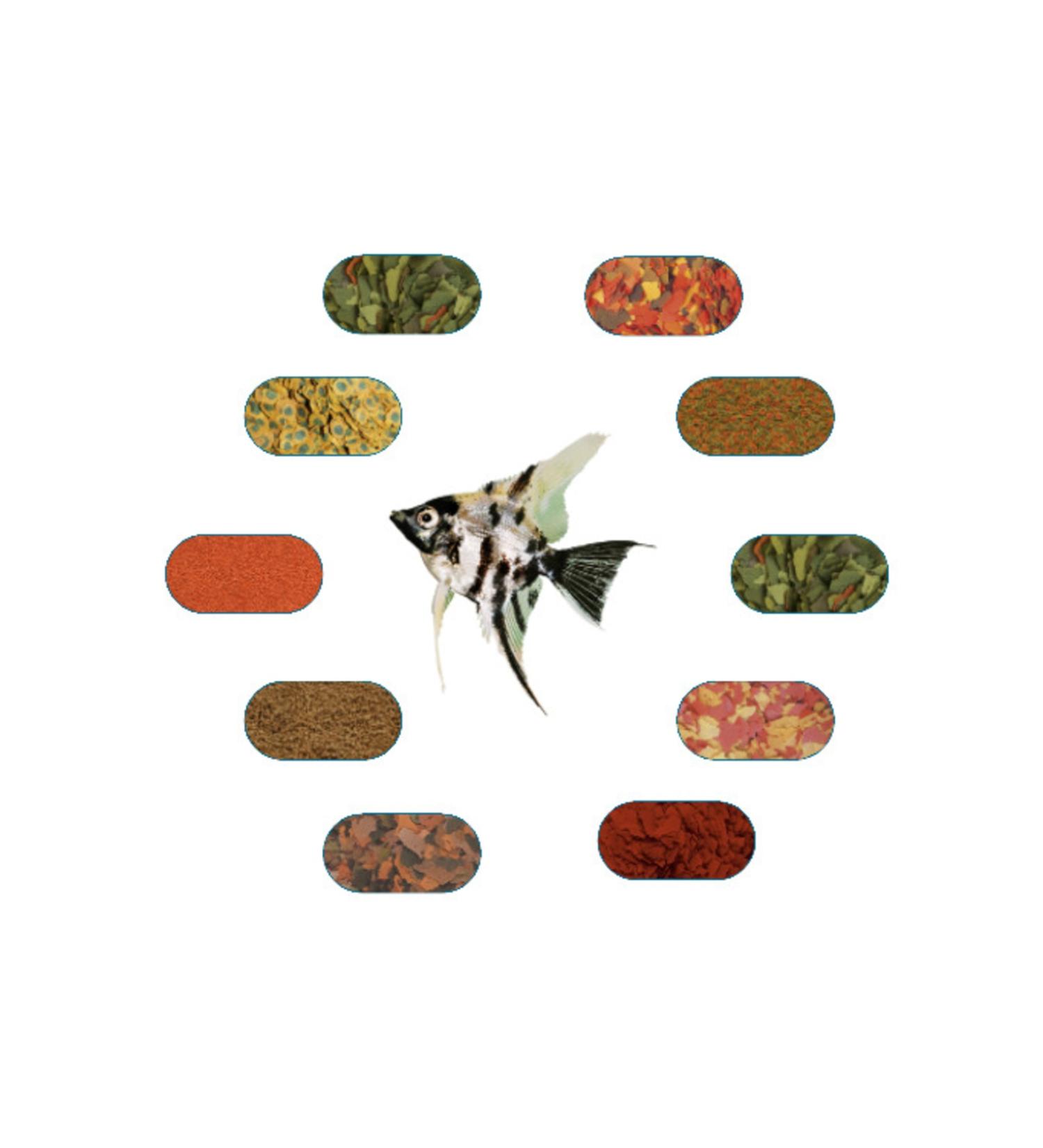 ANGEL FISH FOOD PACKAGE (50 GR - 6 TYPES)