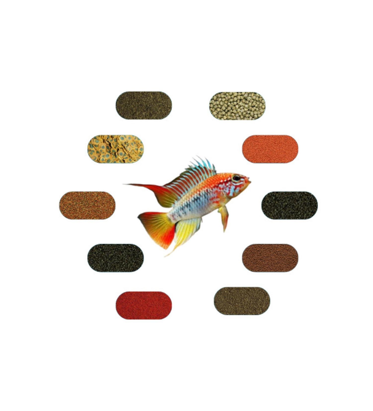 Apistogramma Food Package (DWARF AMERICAN CICLE) 50 Gr*ad (6 TYPES)
