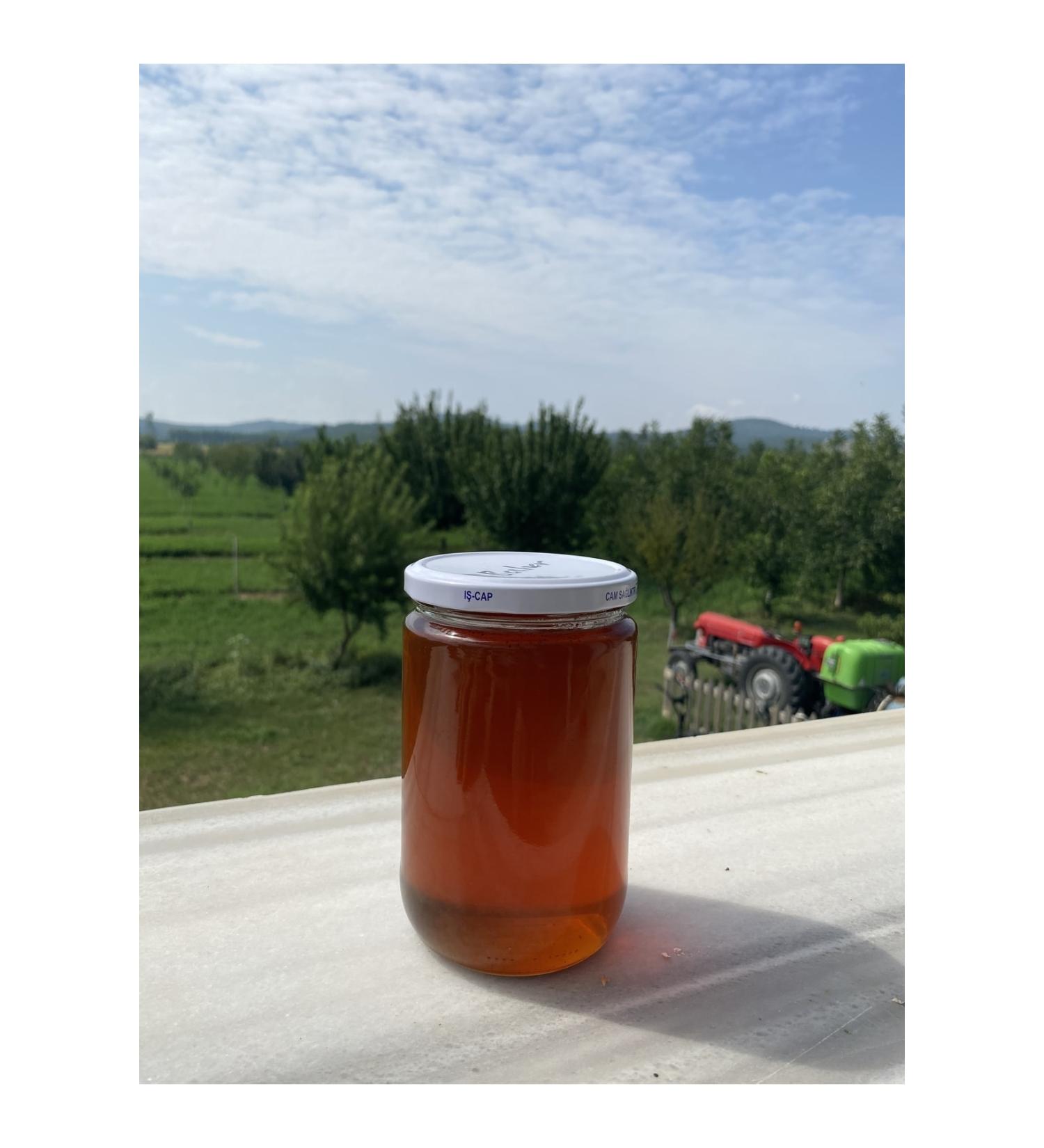 SULTAN WALNUT GARDENS 850 gr Thrace Local Production Genuine Blackthorn Honey