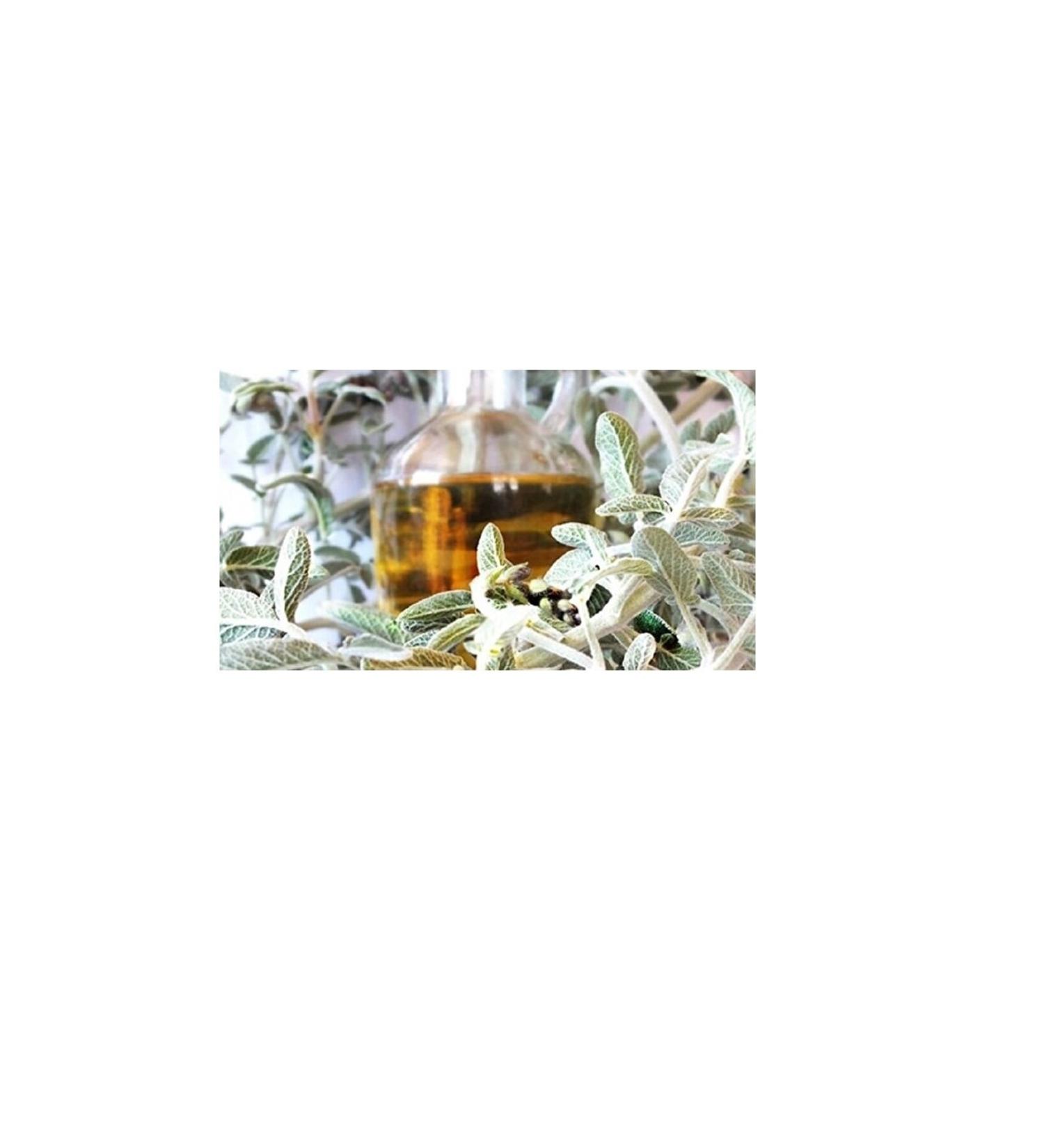 Sage Tea 1 kg