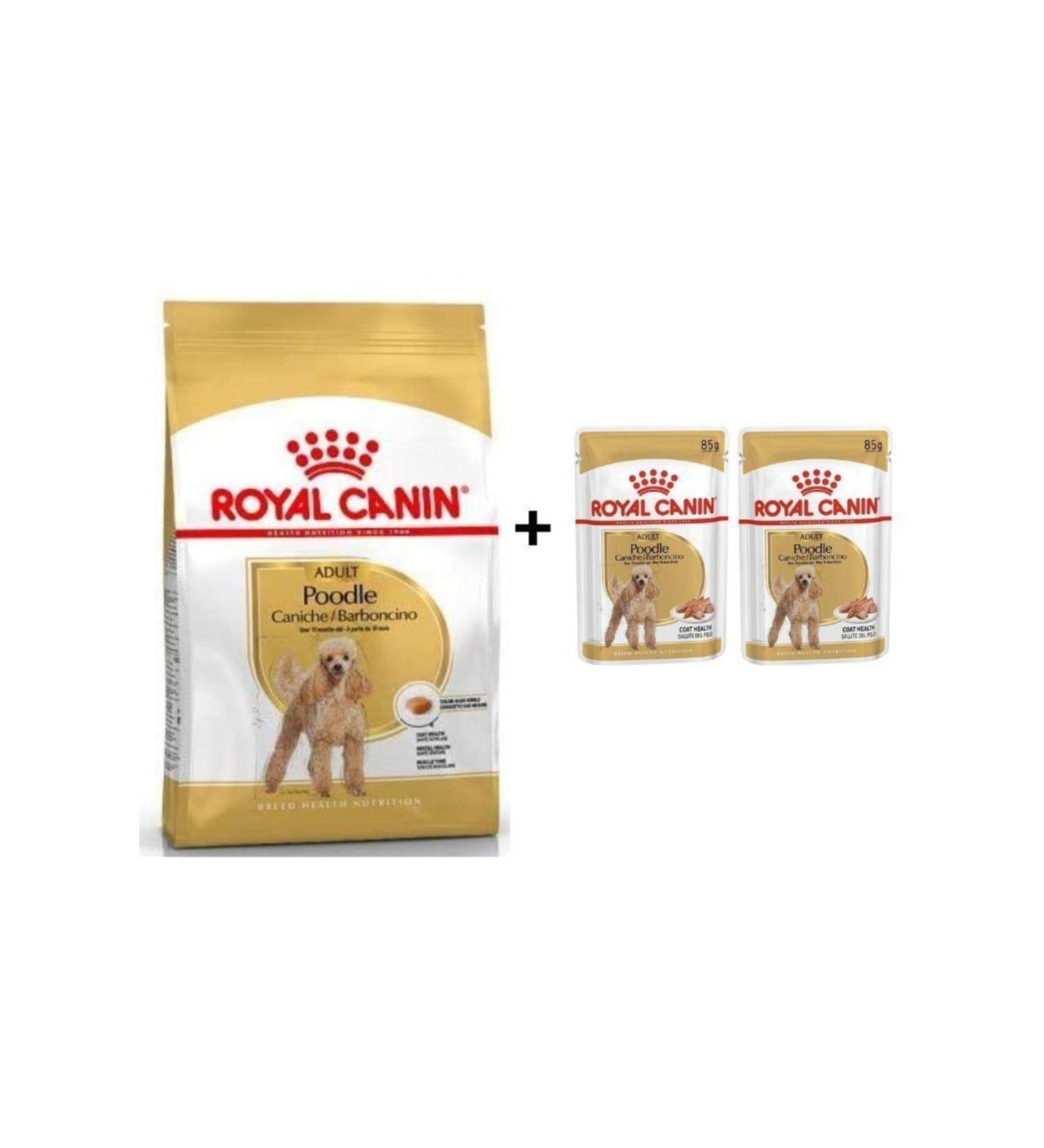 Royal Canin Poodle Adult Dog Food 3 kg + 2 Pieces Wet Food