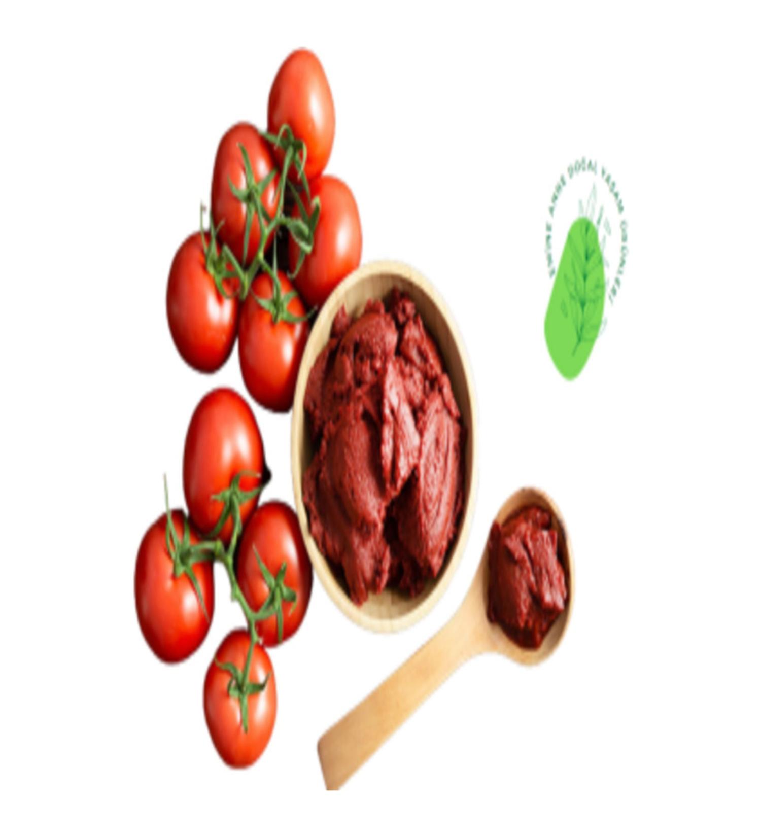 AYDINREKLAM Homemade and Natural Antep Tomato Paste 4 kg