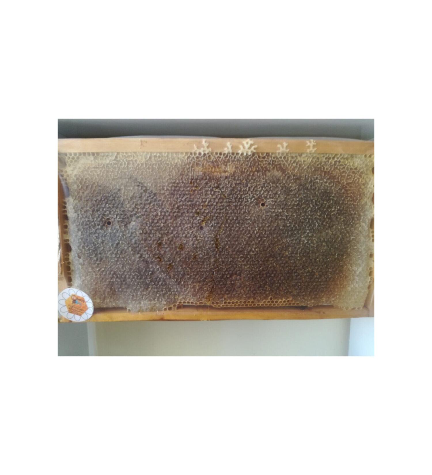 OZMU HONEY Ozmu Comb Honey 3kg