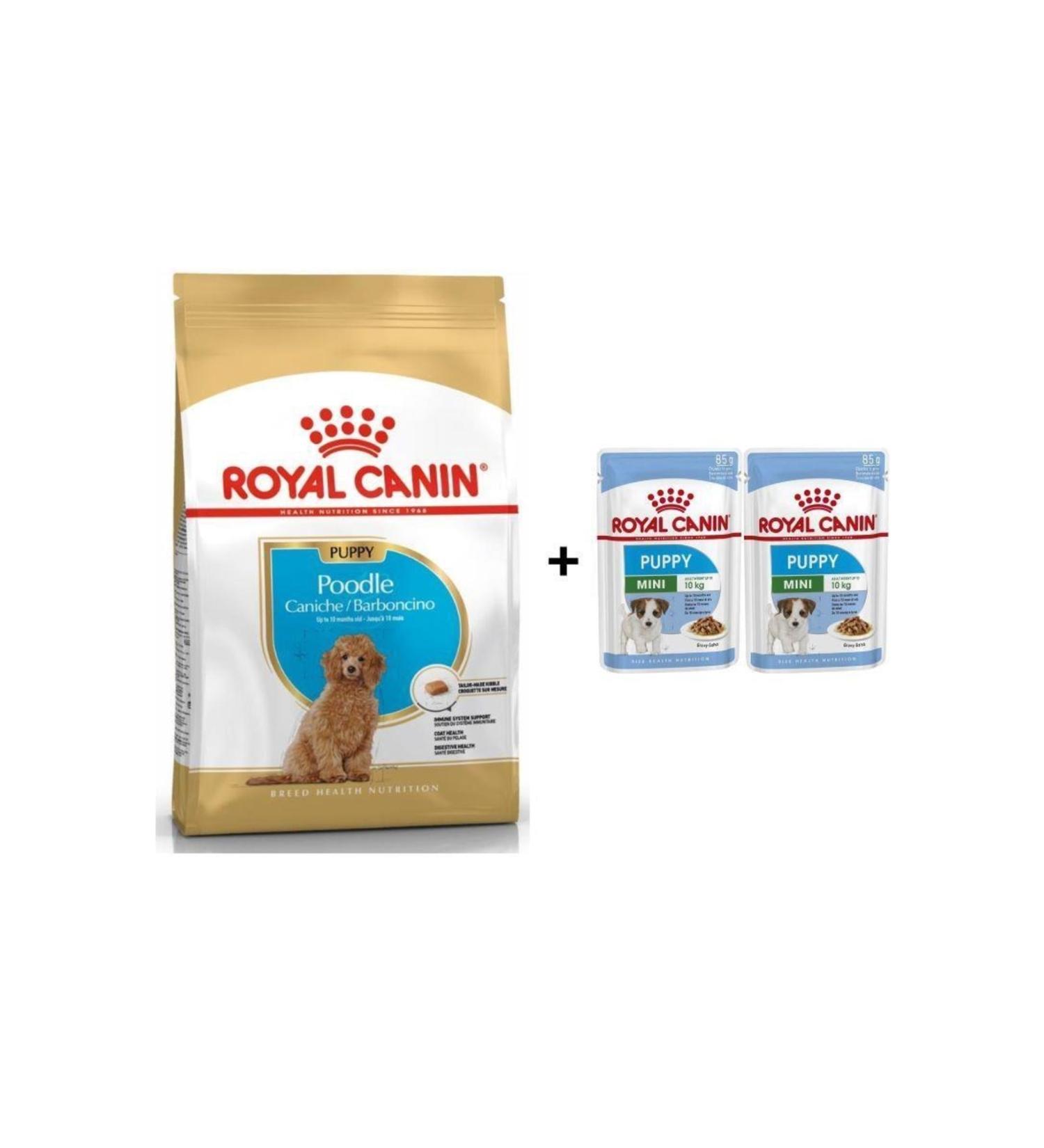 Royal Canin Poodle Puppy Dog Food 3 Kg + 2 Pieces Wet Food