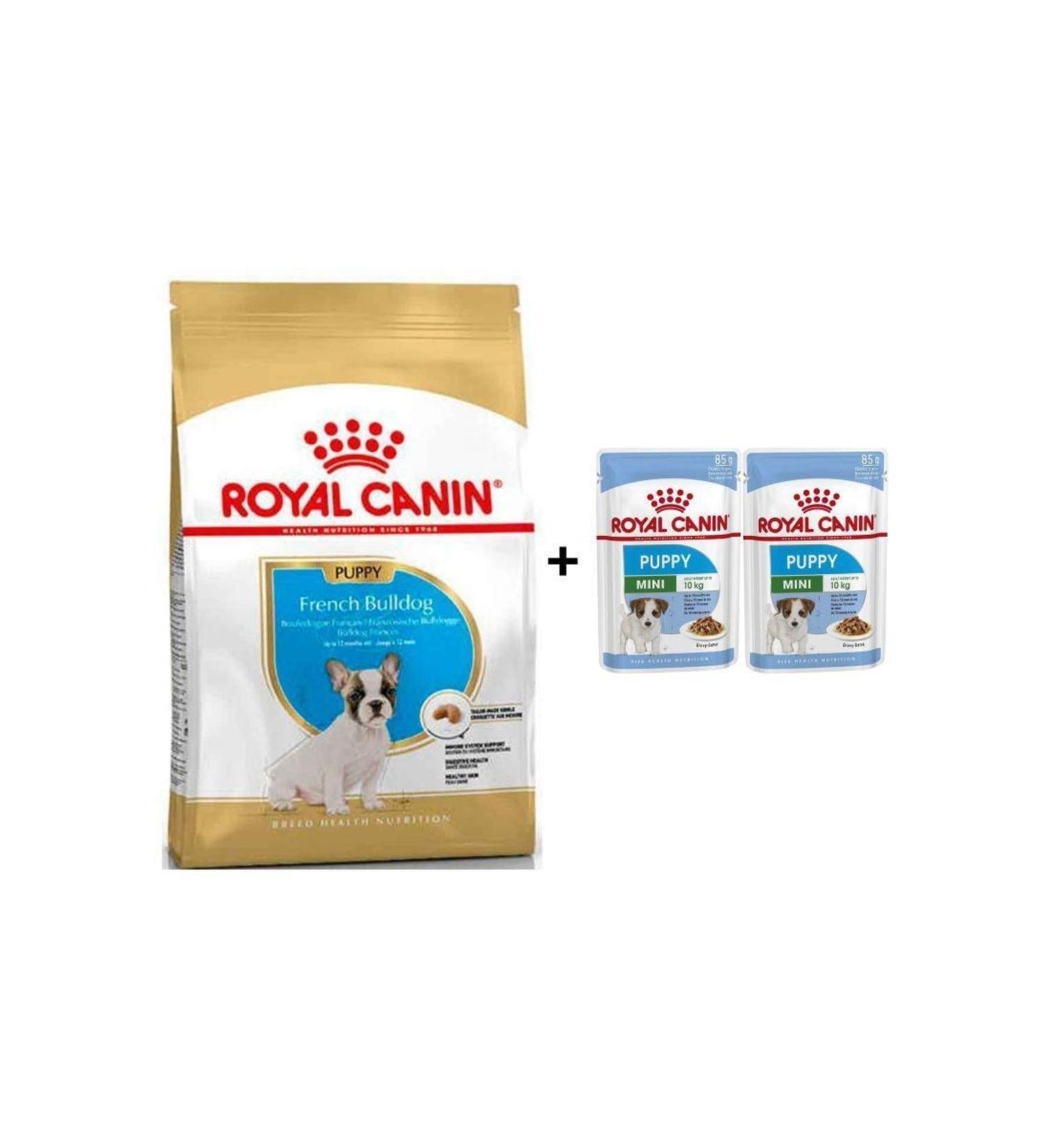 Royal Canin French Bulldog Puppy Food 3 kg + 2 Pieces Wet Food