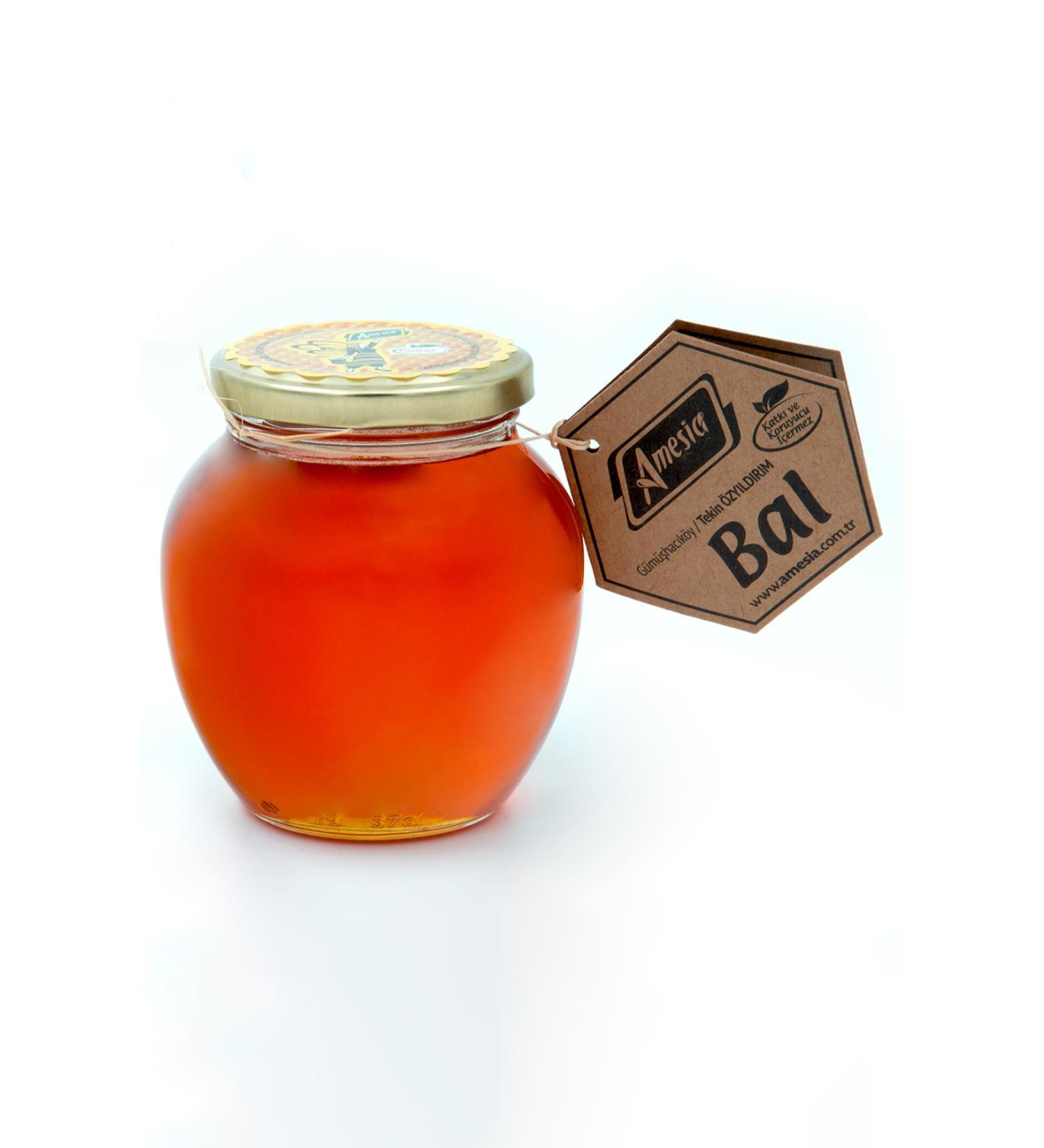 Amesia Pure Honey 450 g