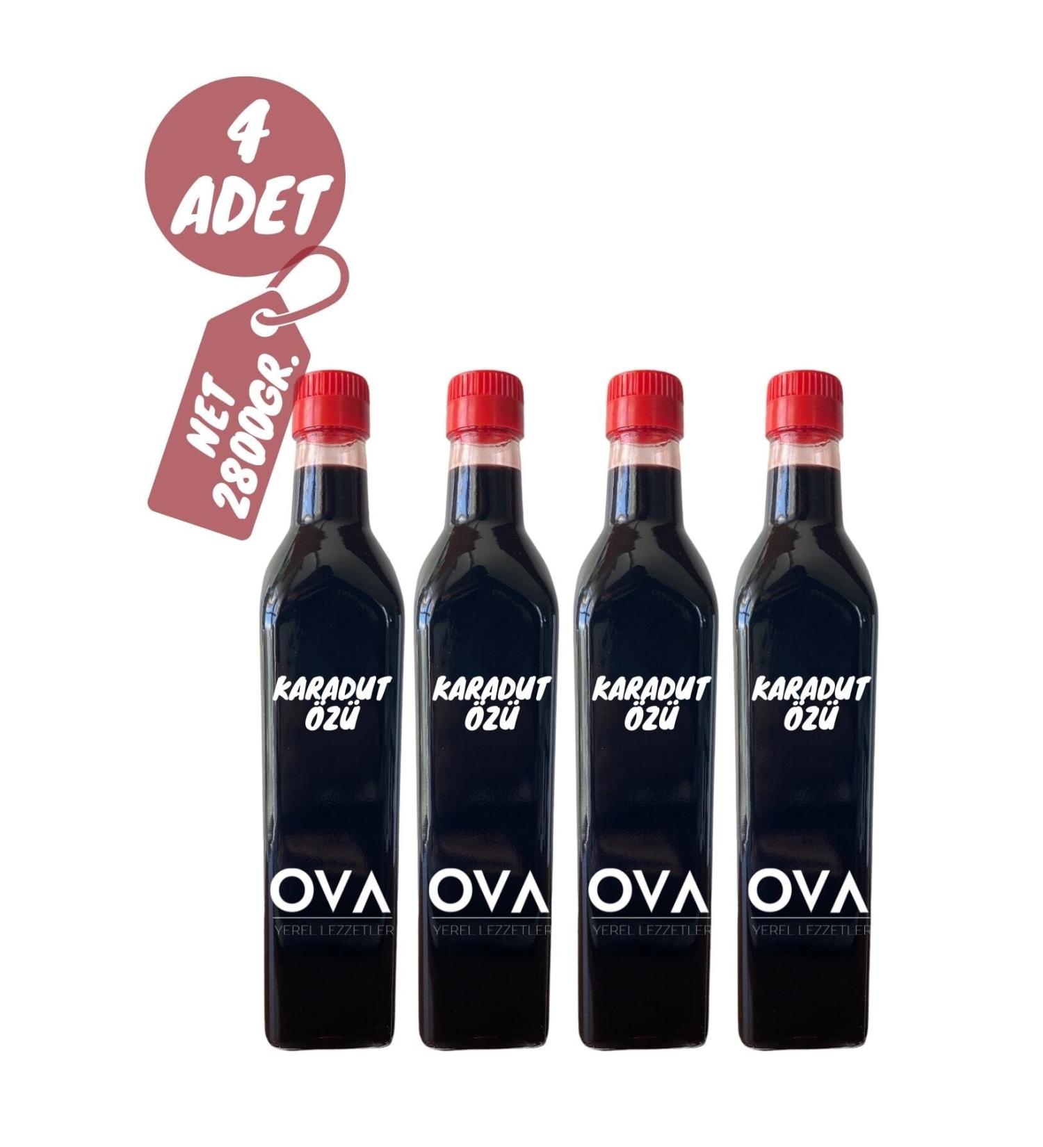 Plain Local Flavors Black Mulberry Extract Traditional Production Glass Bottle 4x700 G - From the Aegean Region