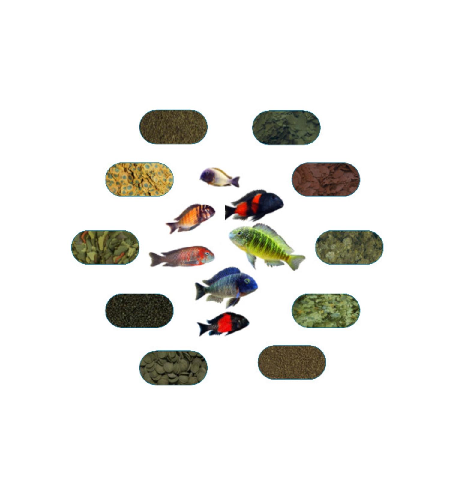 Tropheus Special Fish Food Package - Premium 100 Gr/piece (7 TYPES)