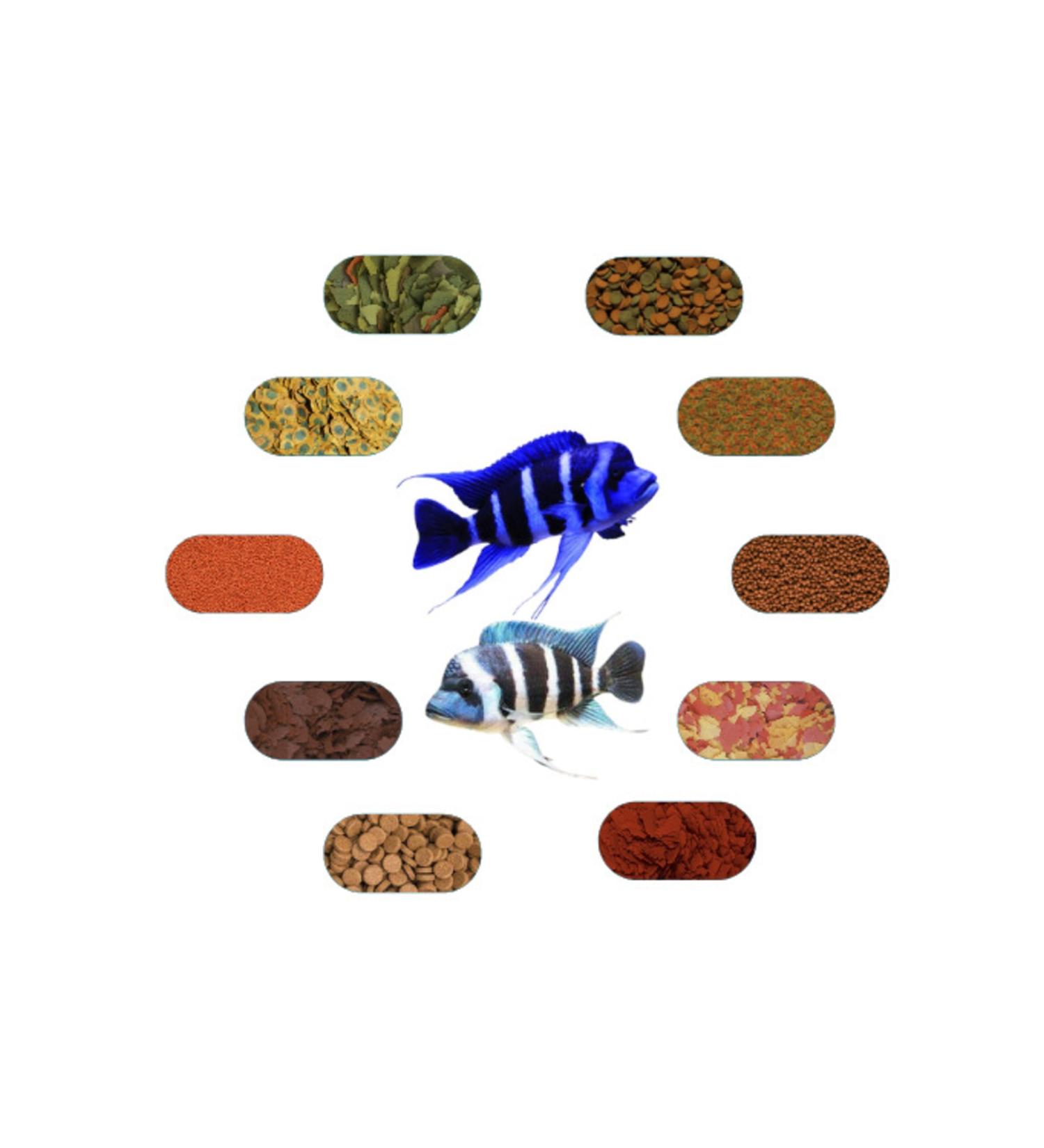 Frontoza Special Food Package (Moba Brundi etc.) 50 Gr/piece (7 TYPES)