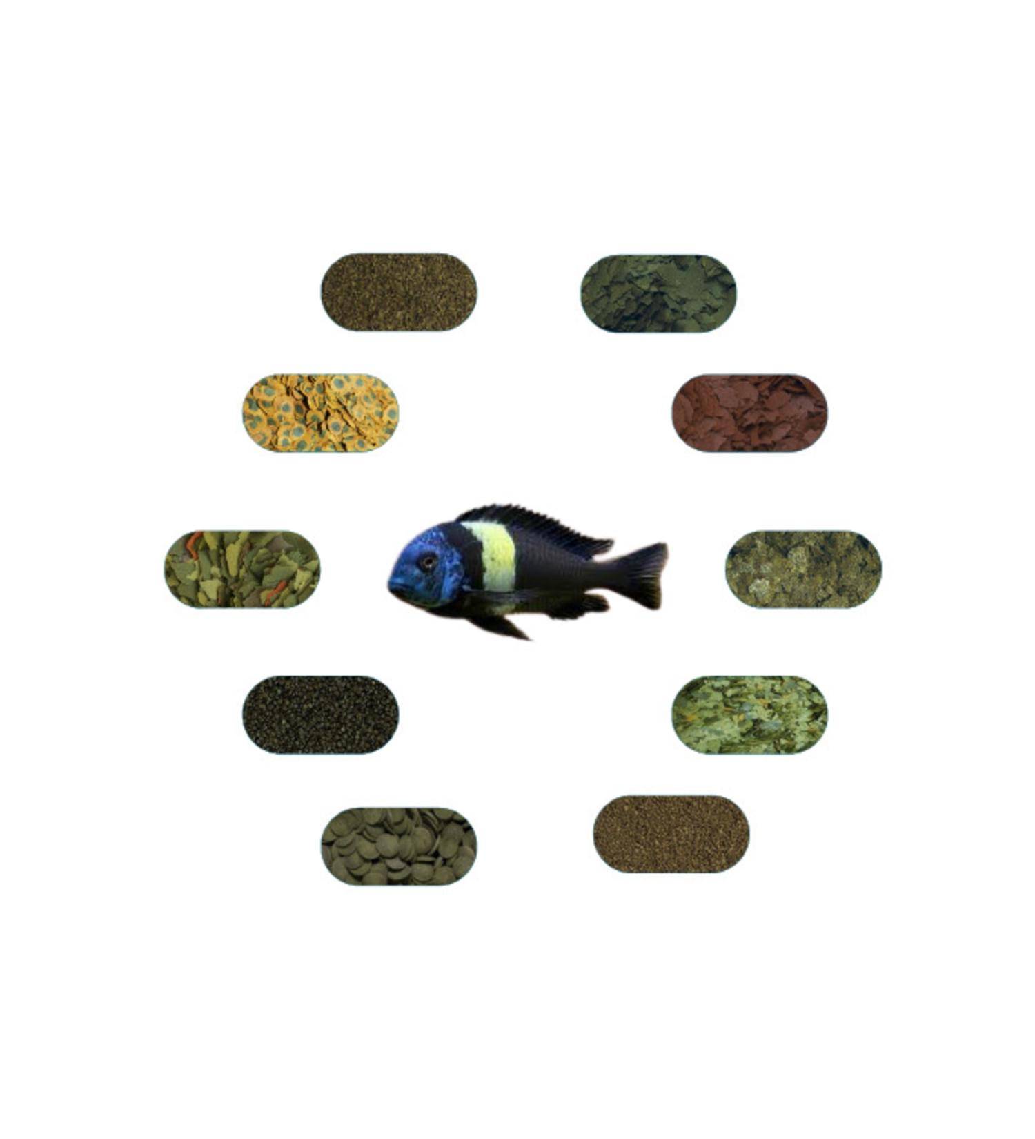 Tropheus Duboisi Maswa Special Food Package 50 Gr/piece (7 TYPES)