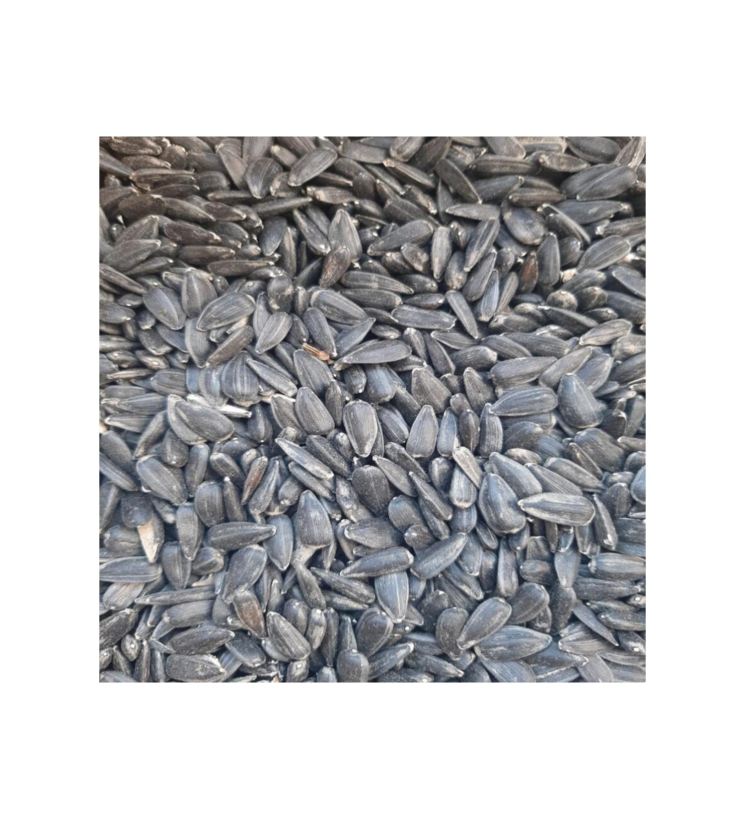 M&H Oil Sunflower Seeds Chicken Pigeon Cockatiel Food 3 kg